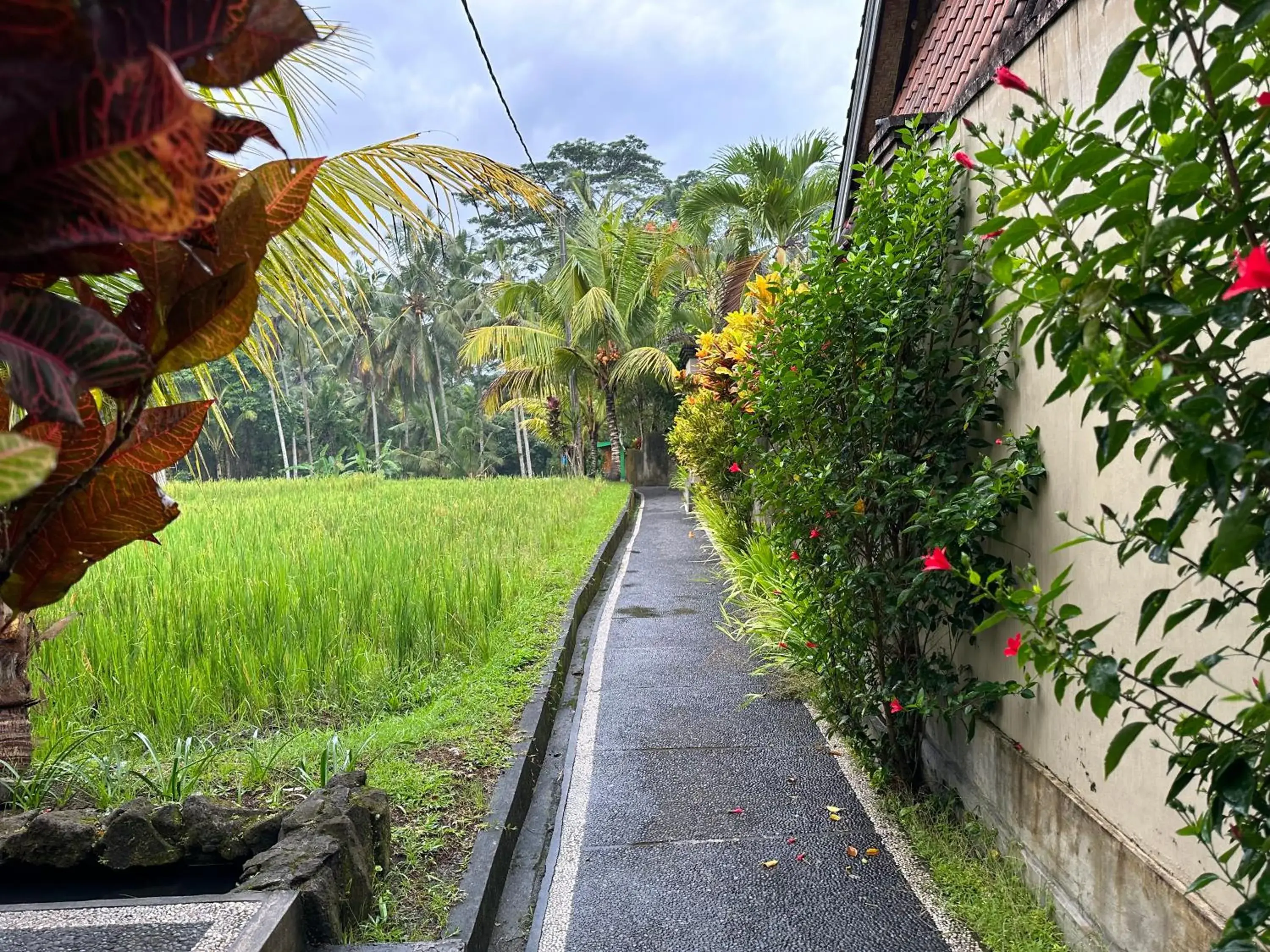 Property building, Garden in Dupa Ubud Villa