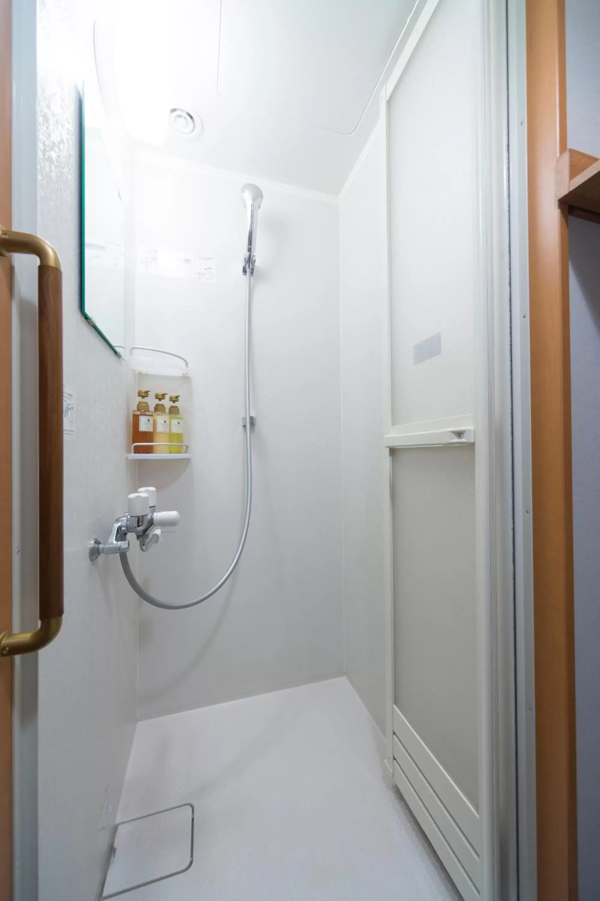 Shower, Bathroom in Dormy Inn Premium Fukui Natural Hot Spring