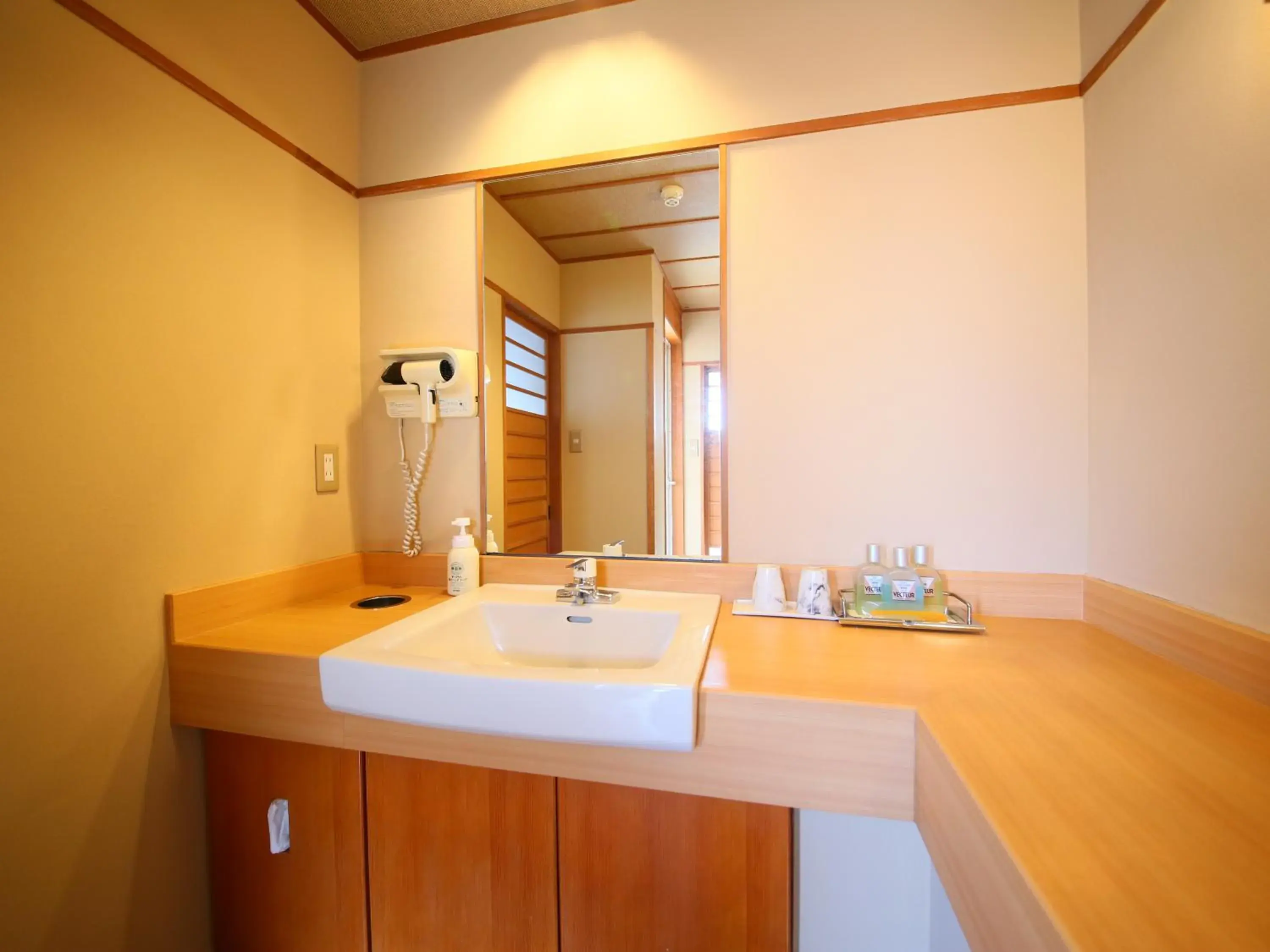 Bathroom in Hotel Tamanoyu