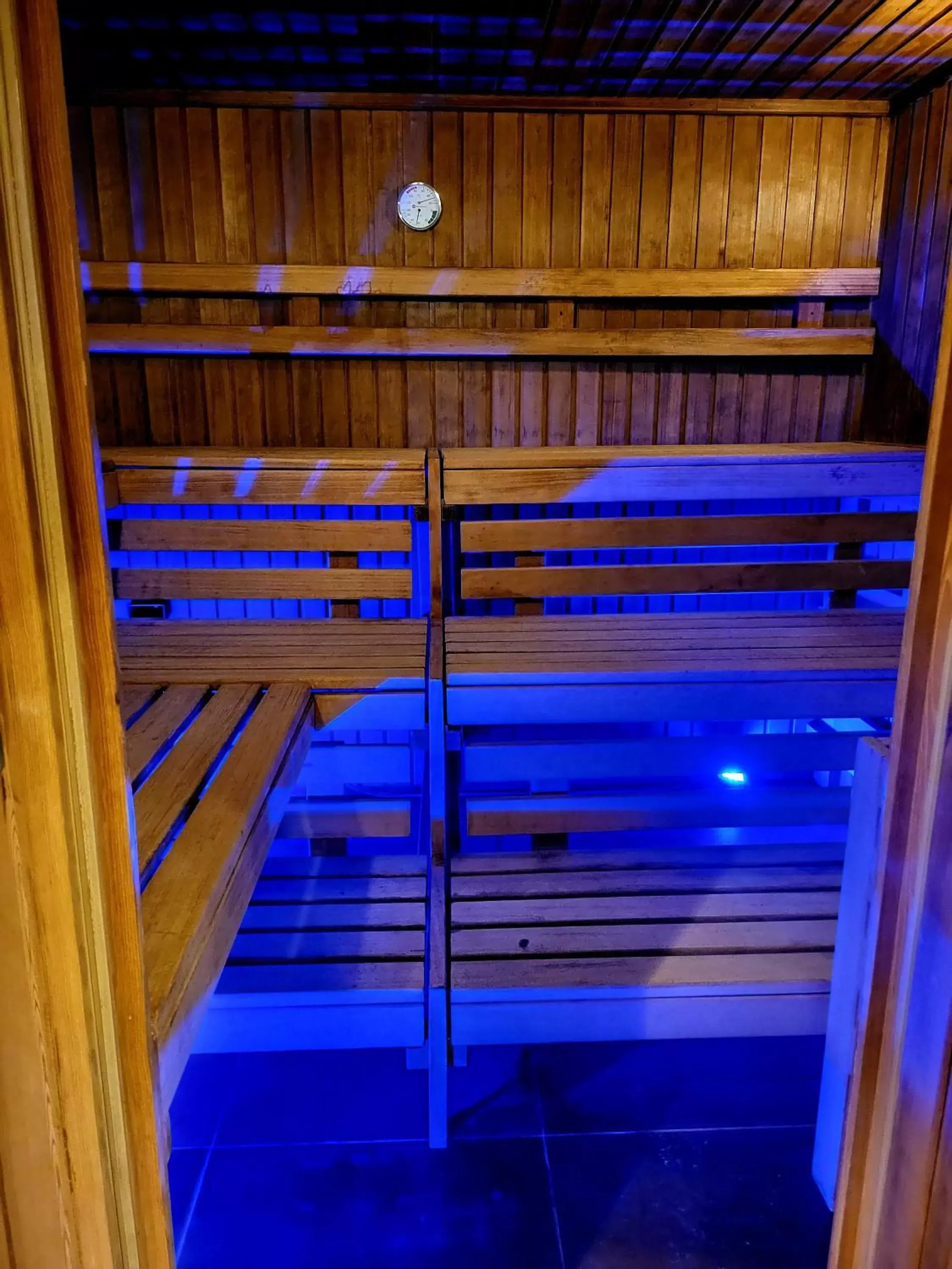 Sauna in Arthotel ANA Gold