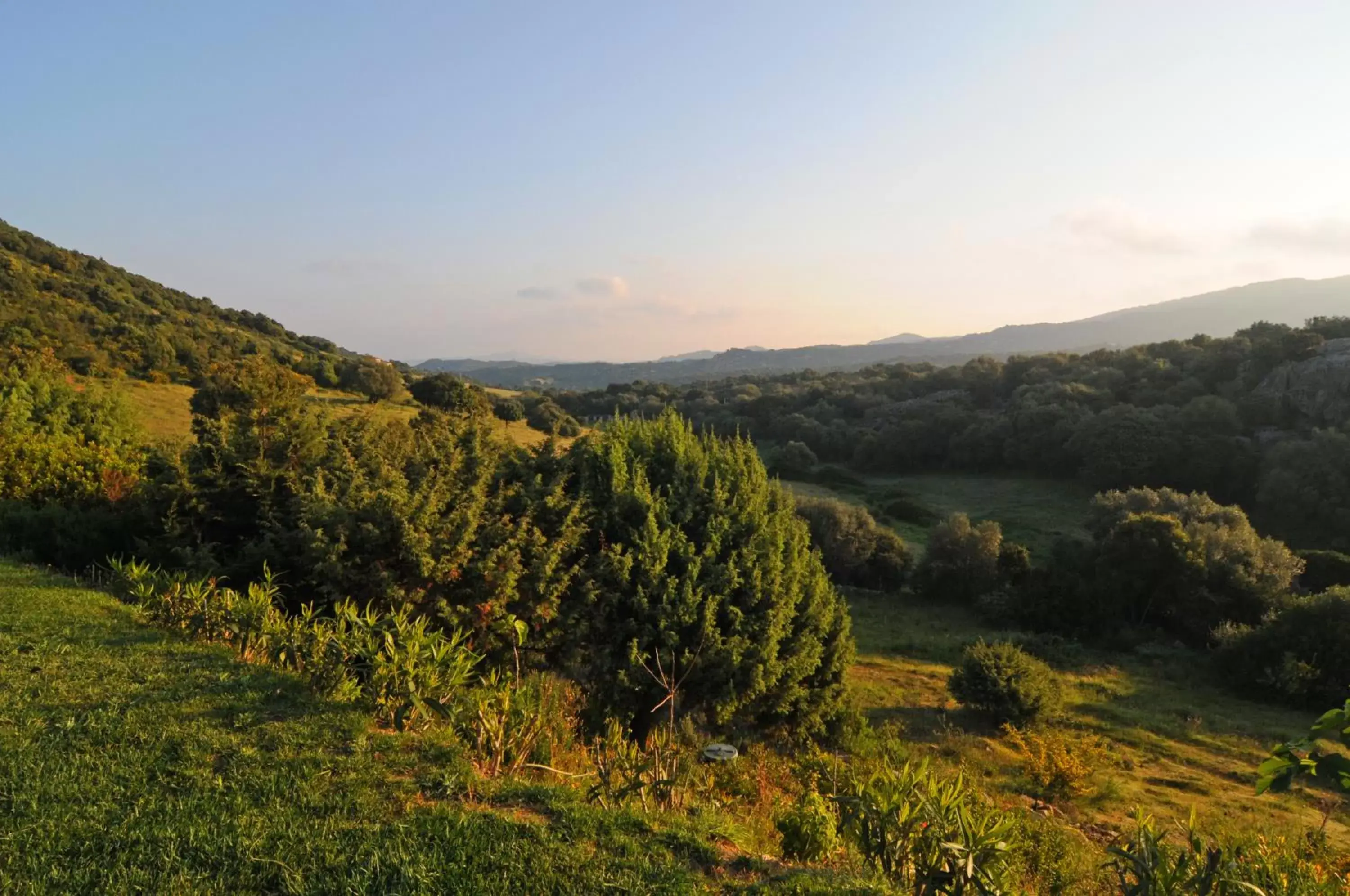 View (from property/room), Natural Landscape in B&B La Murichessa