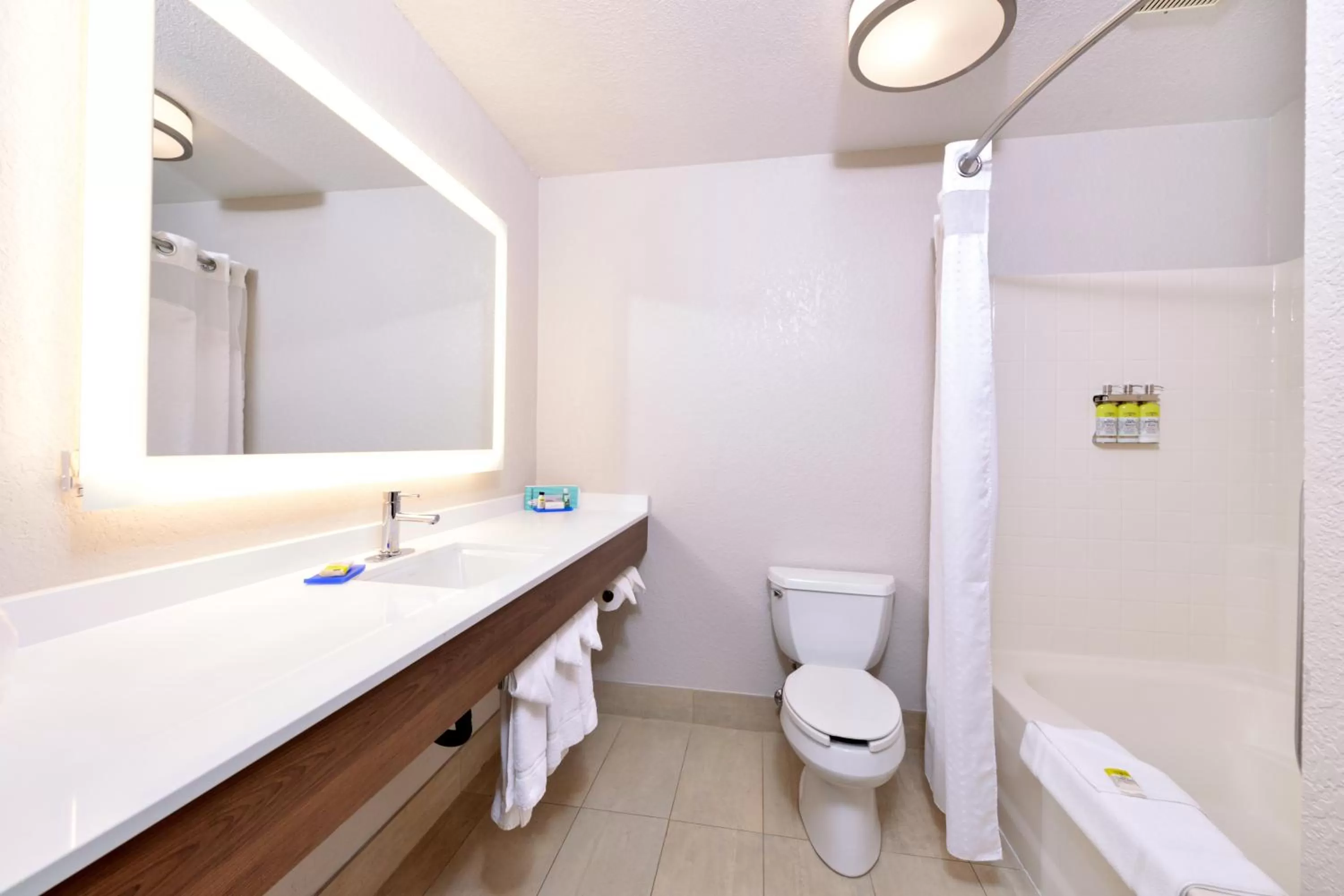 Bathroom in Holiday Inn Express Hotel & Suites Arcata/Eureka-Airport Area by IHG