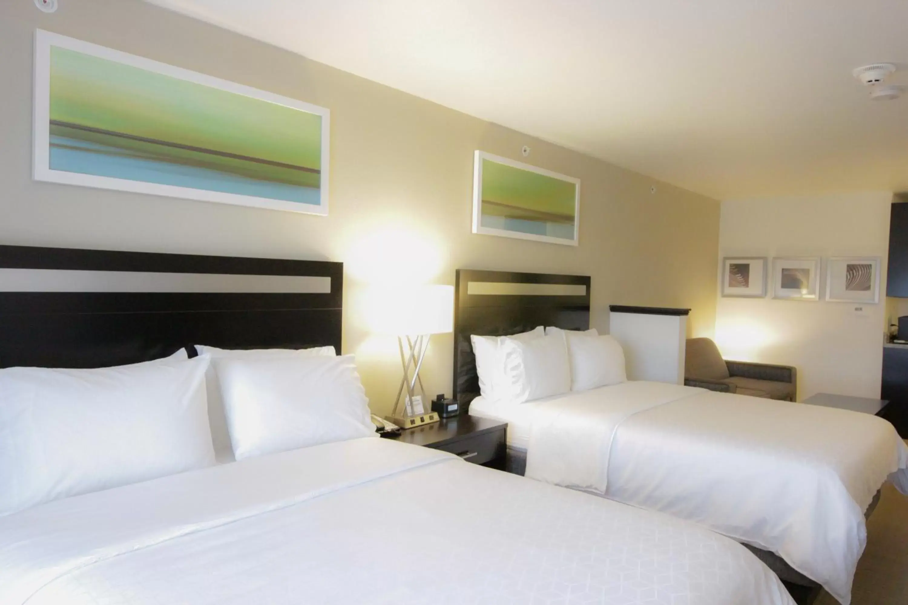 Photo of the whole room, Bed in Holiday Inn Express and Suites Montgomery, an IHG Hotel
