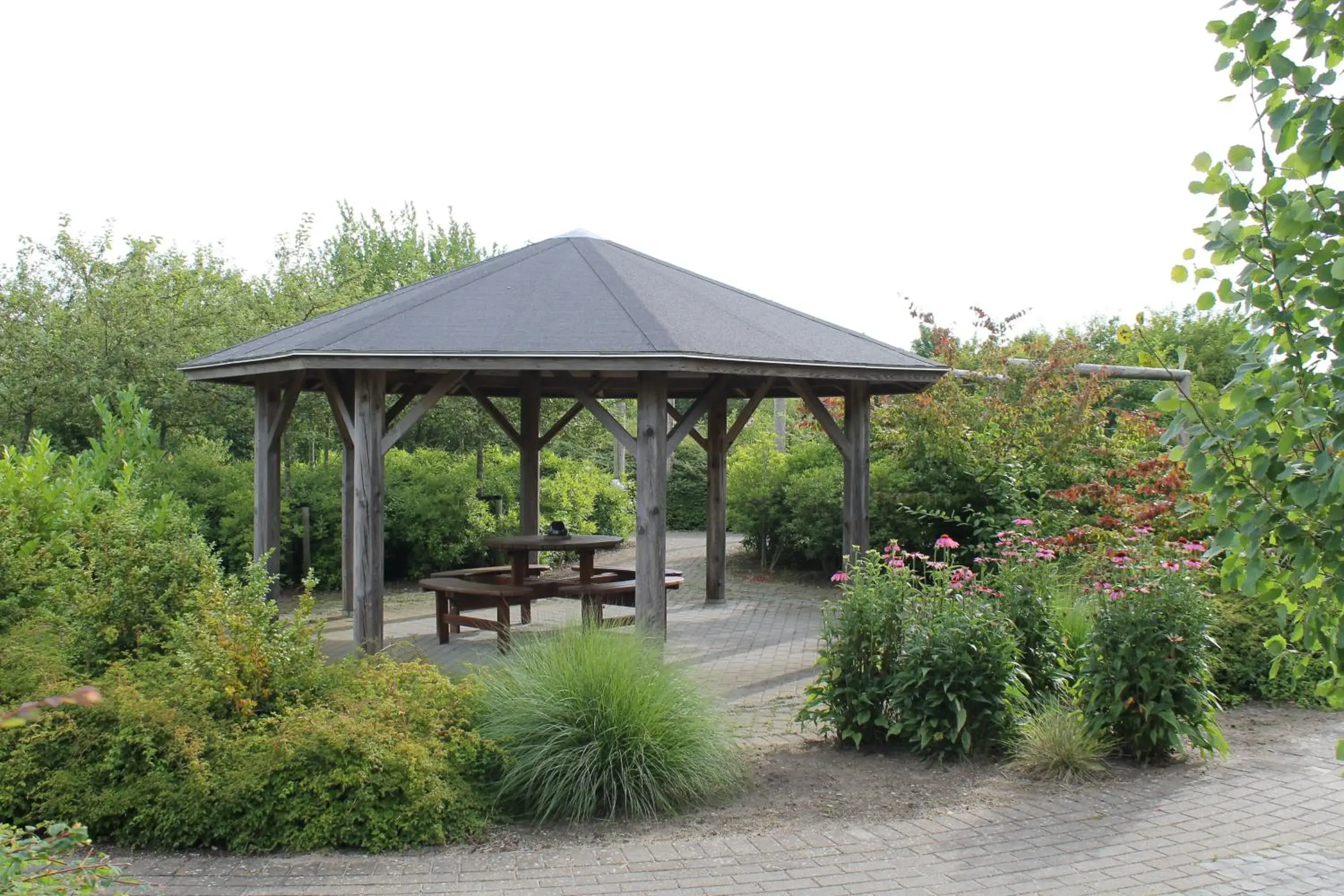 Garden in Fuglsangcentret Hotel