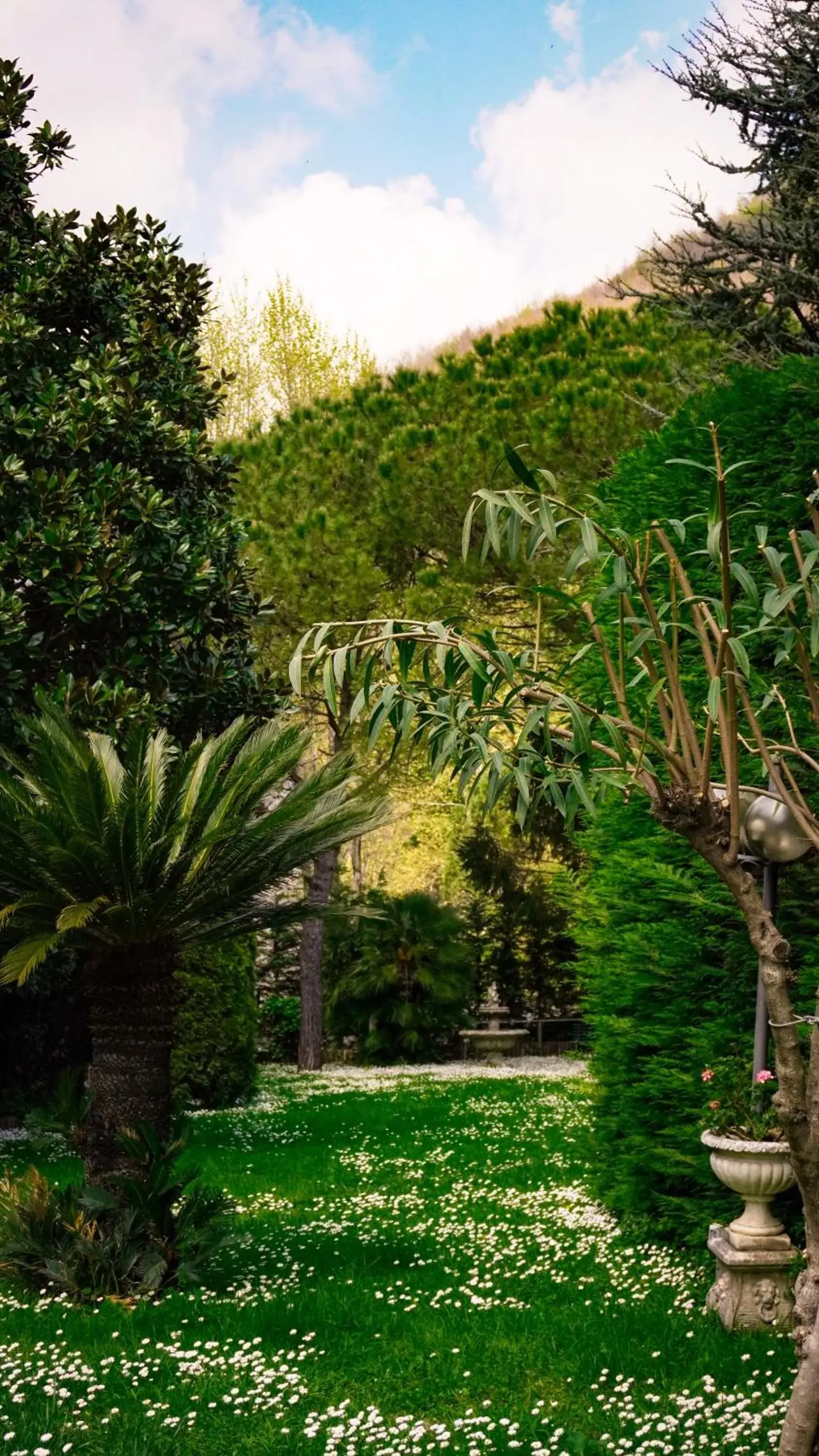 Garden in Hotel Scapolatiello