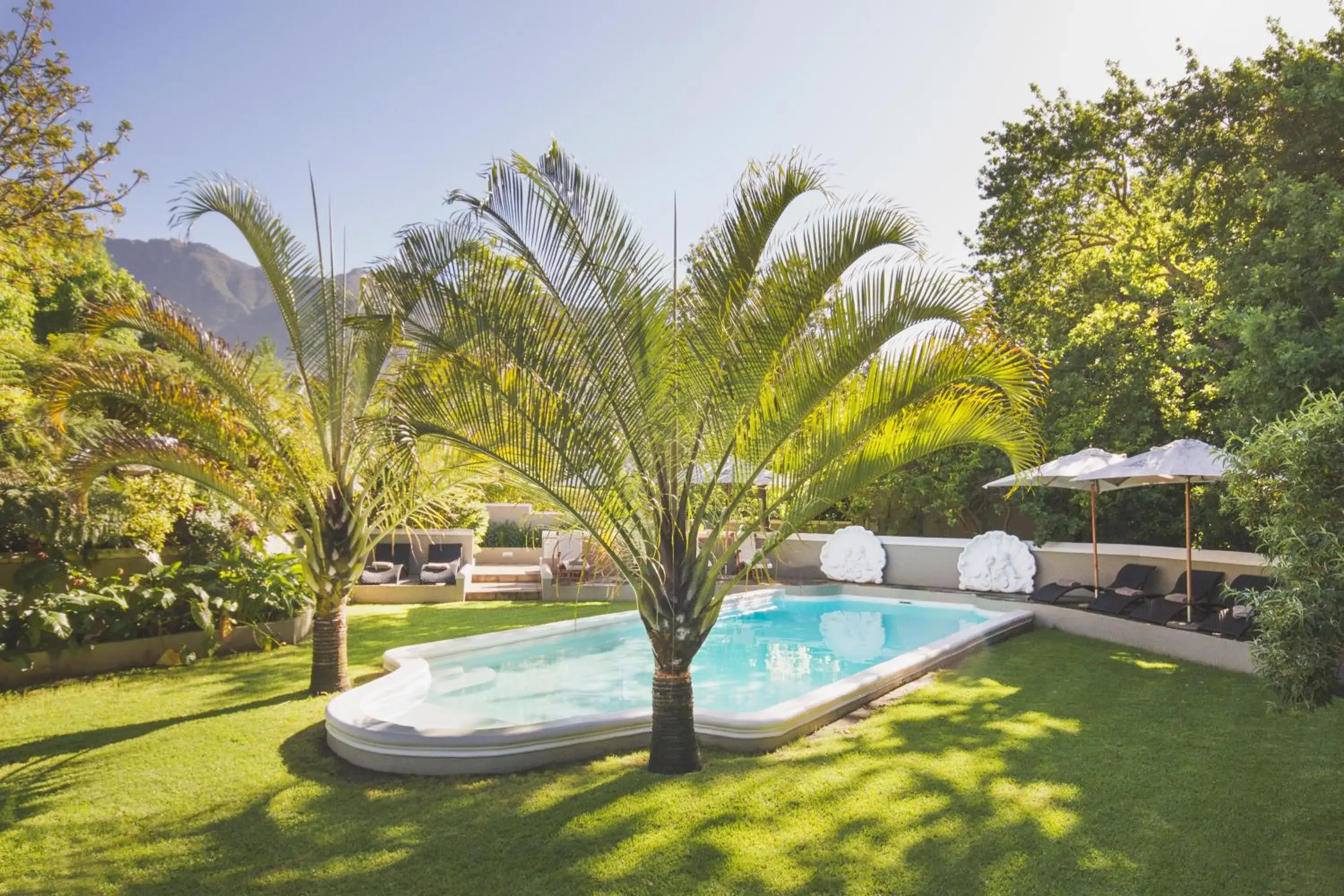 Summer, Swimming Pool in Schoone Oordt Country House