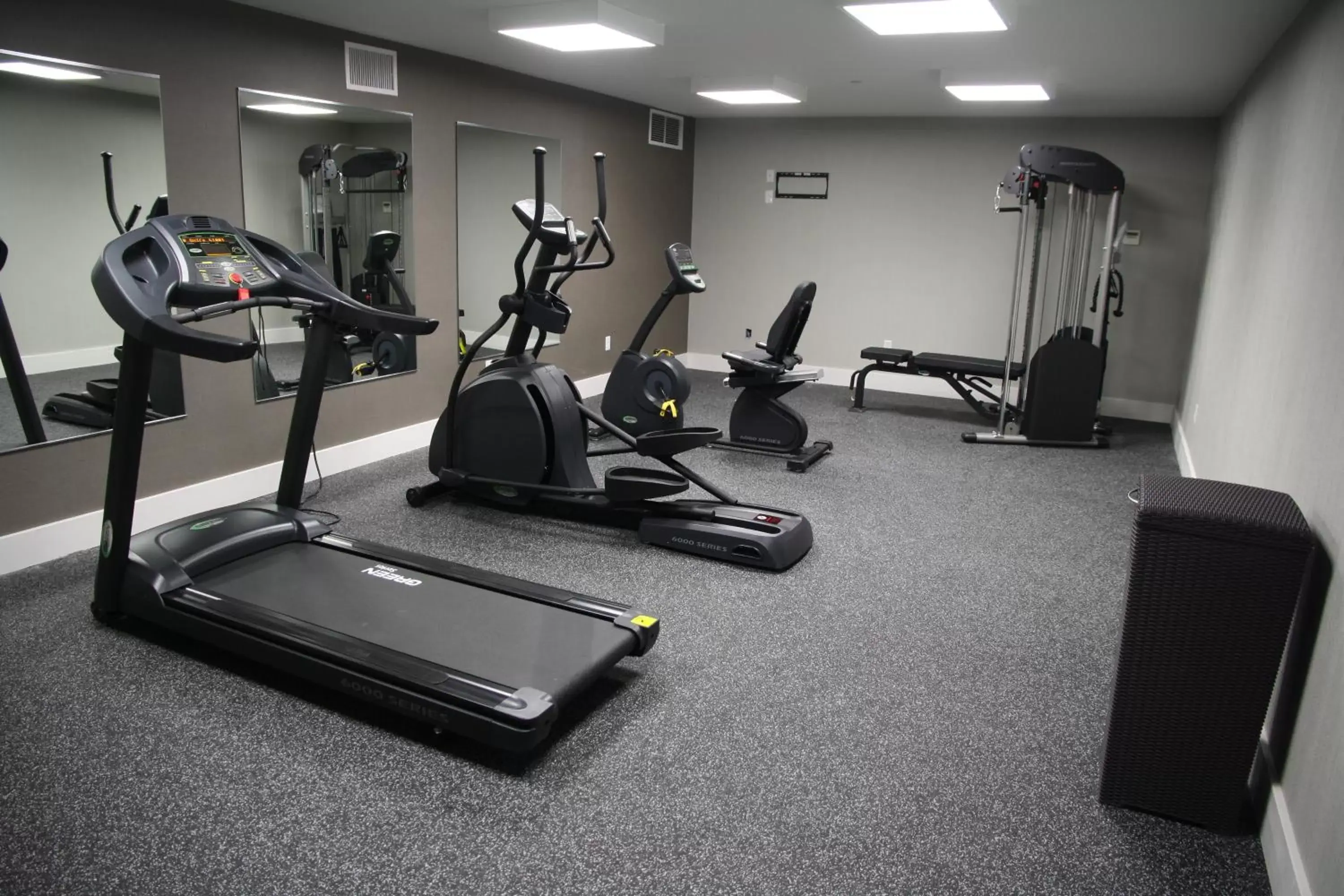 Fitness centre/facilities, Fitness Center/Facilities in Wingate by Wyndham Niagara Falls