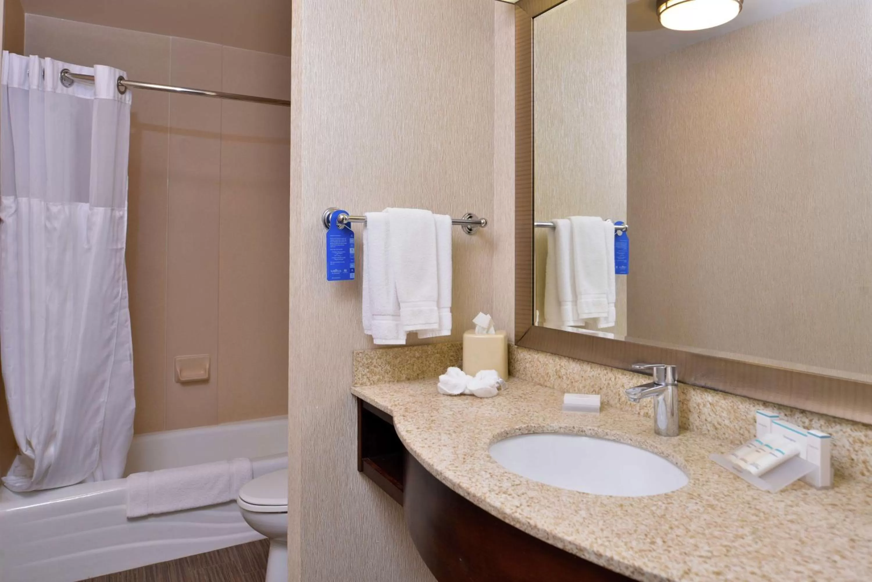 Bathroom in Hilton Garden Inn Boise Spectrum