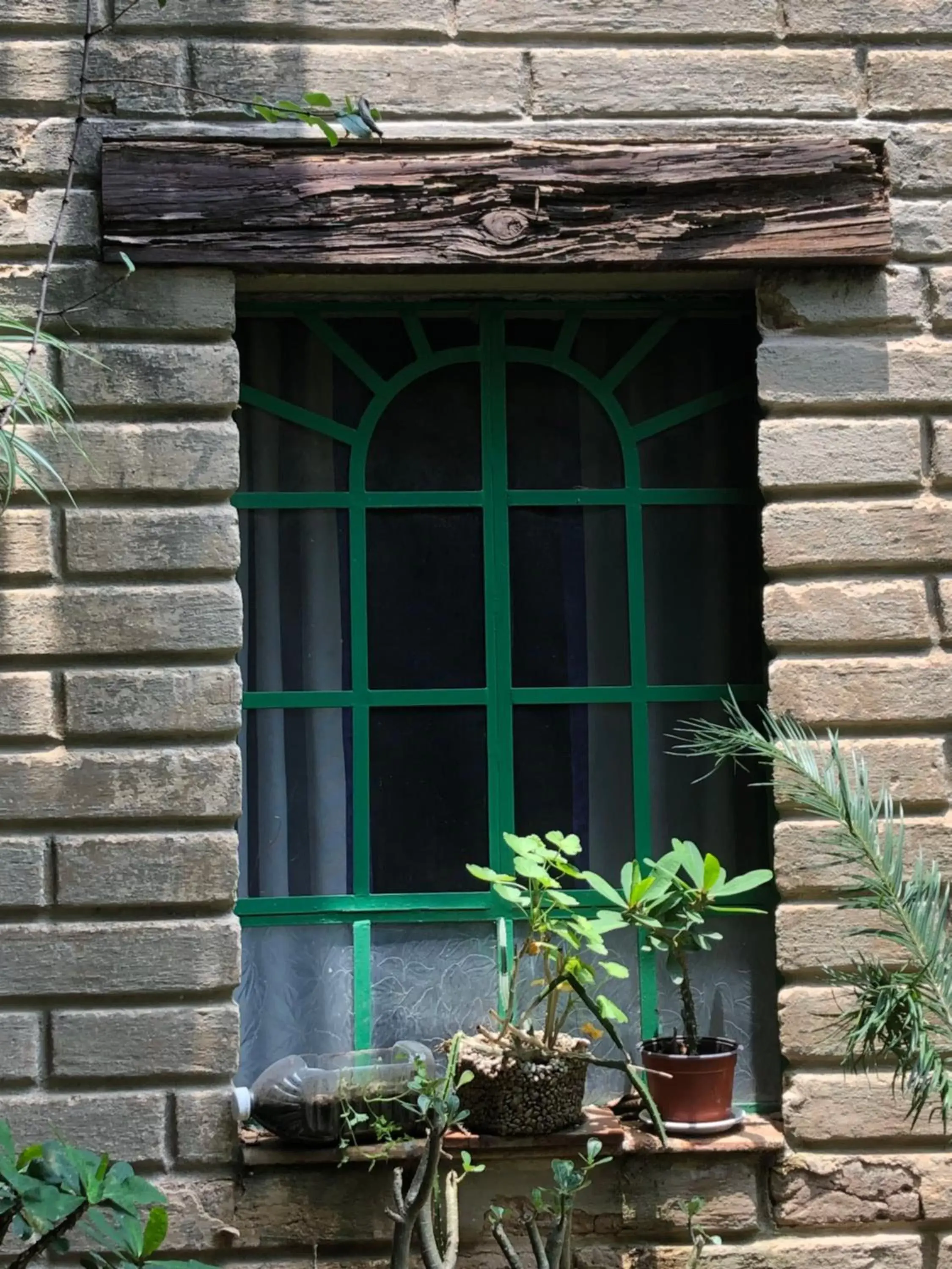 Decorative detail in Casa del Retoño