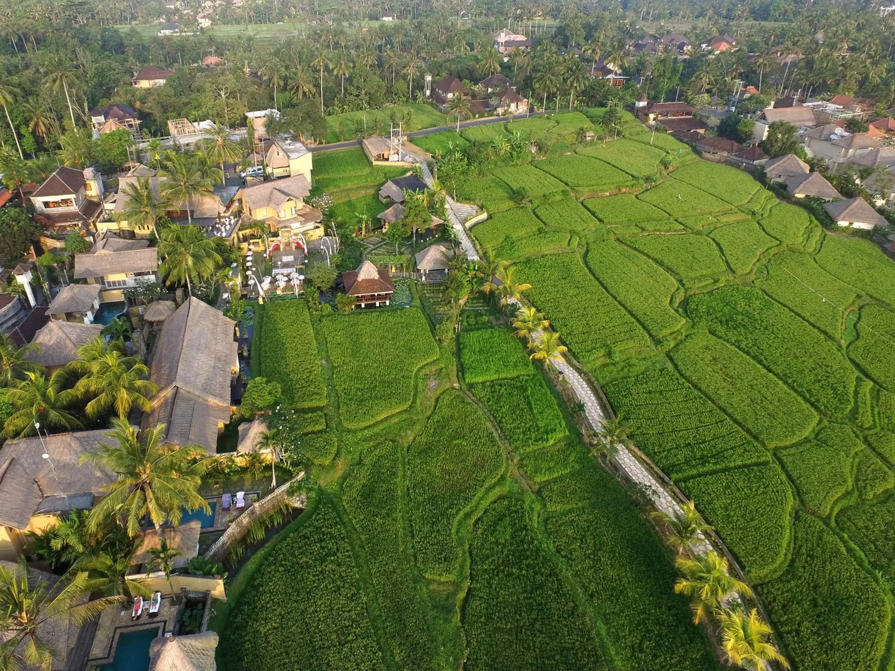 Nearby landmark, Bird's-eye View in Wapa di Ume Ubud