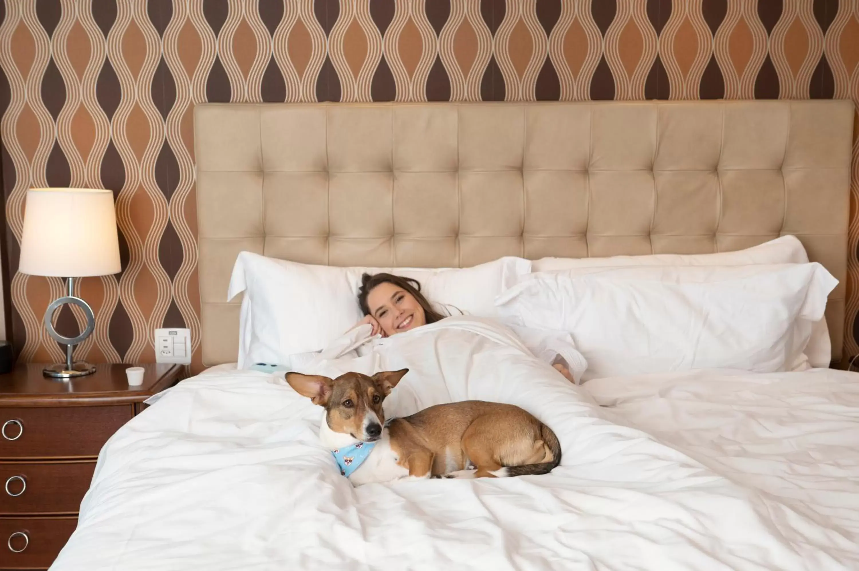 Bed, Pets in Hilton Porto Alegre, Brazil