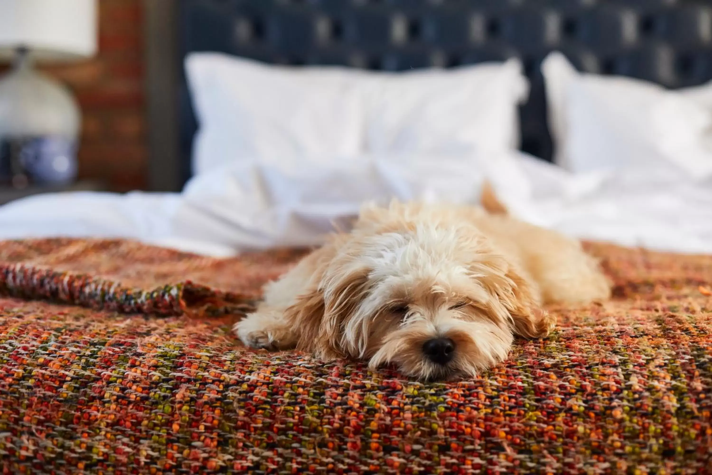 Bedroom, Pets in The Great House At Sonning