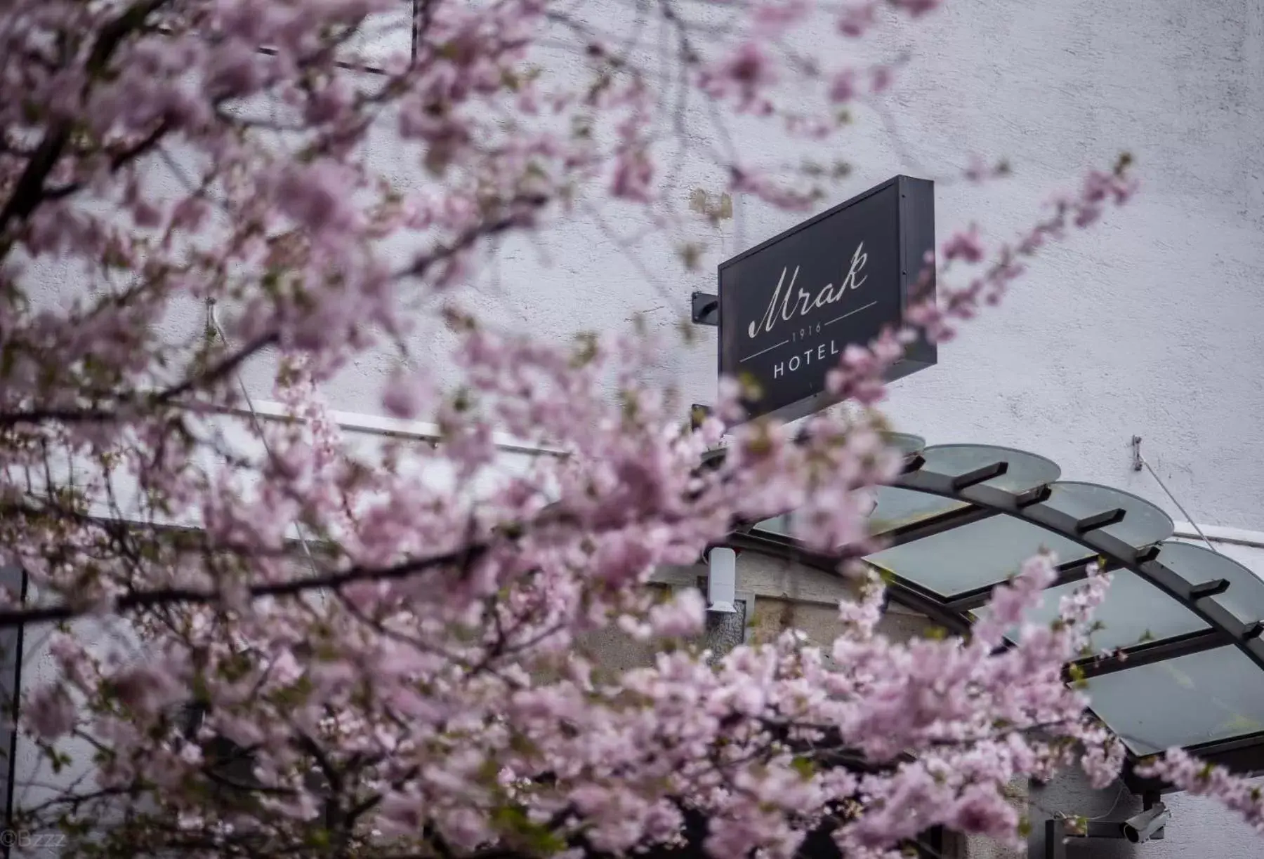 Facade/entrance in Hotel Mrak Facade/entrance in Hotel Mrak
