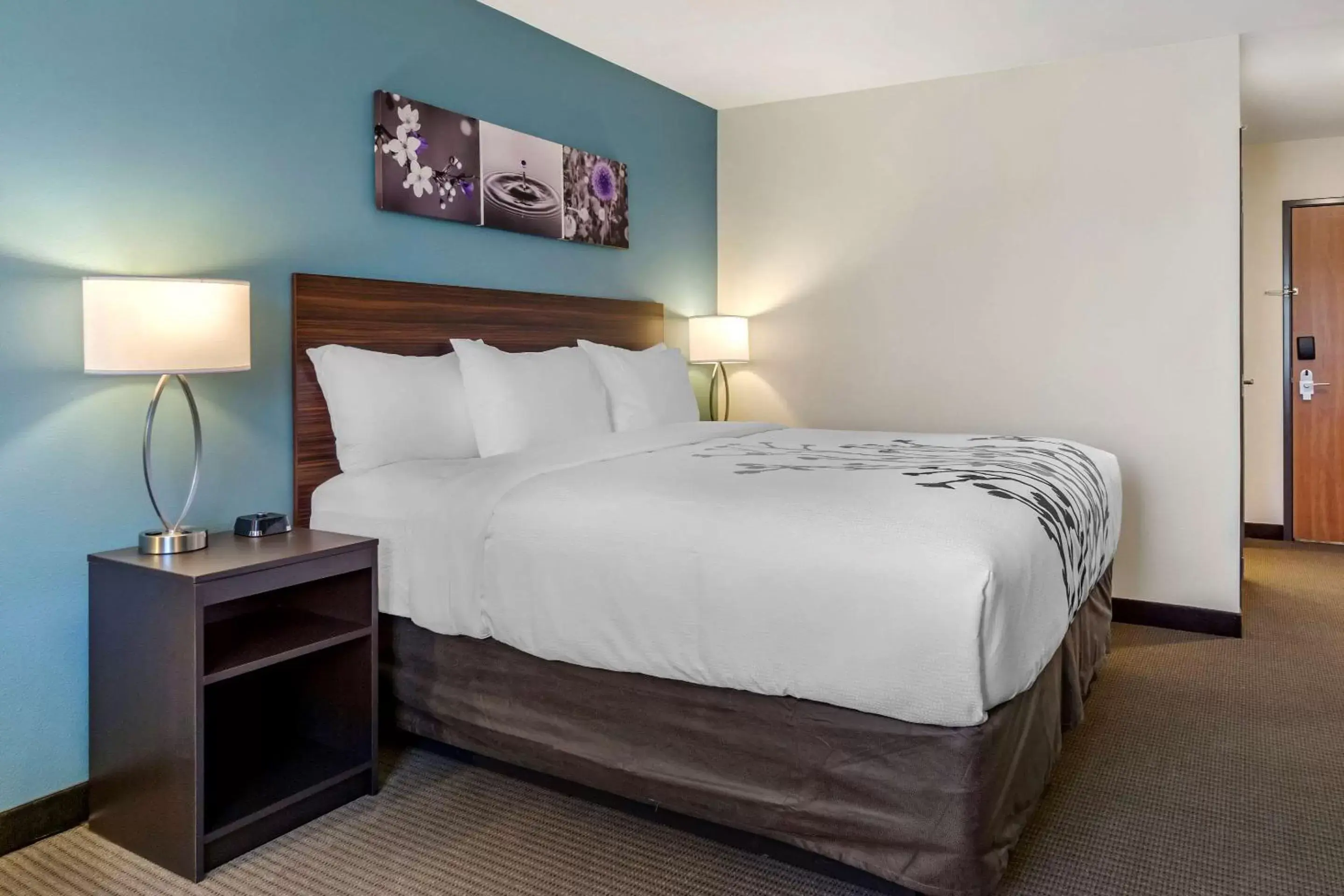 Photo of the whole room, Bed in Sleep Inn & Suites Wenatchee-Leavenworth