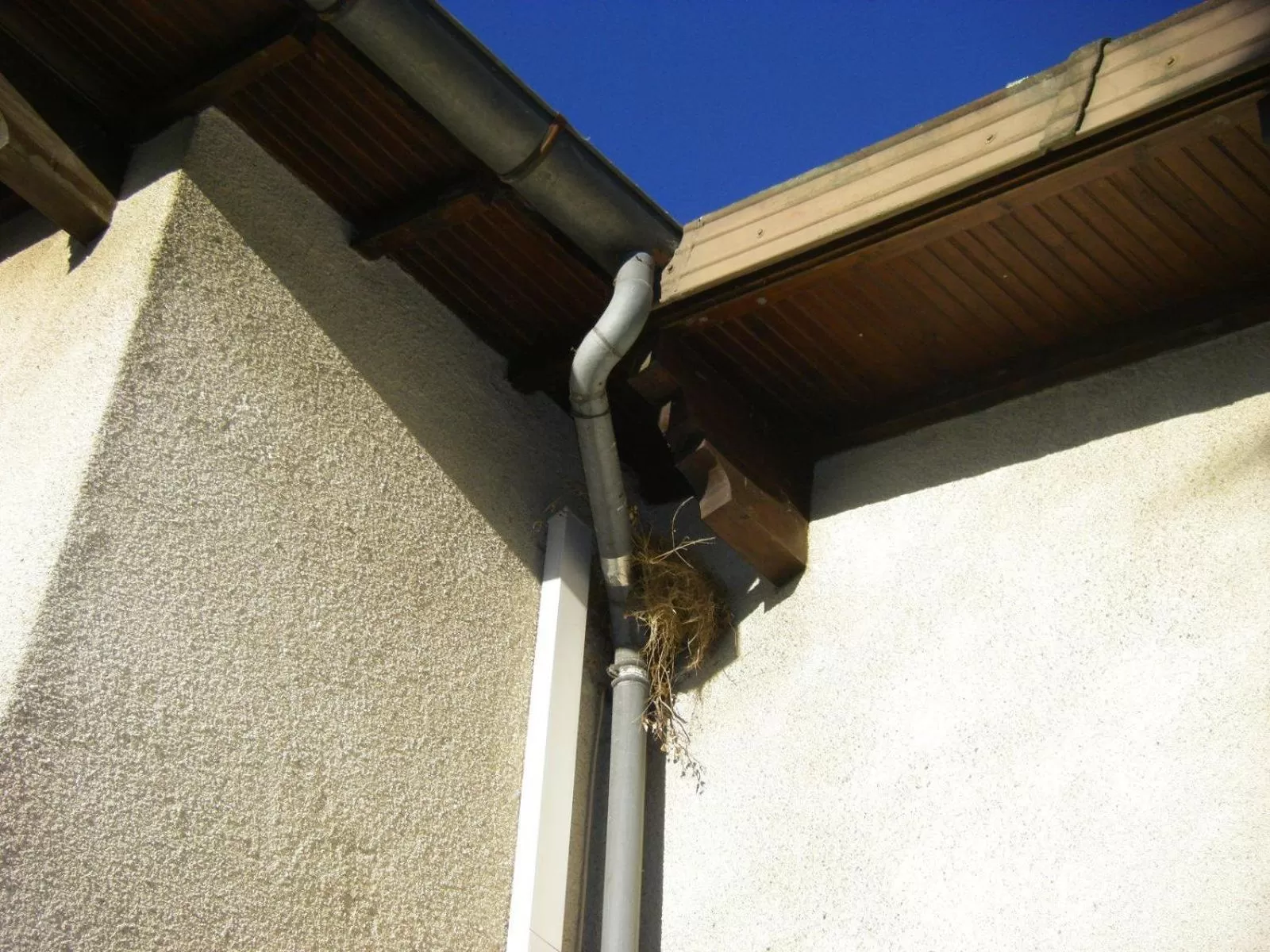 Other in Le Nid de l'Ecureuil