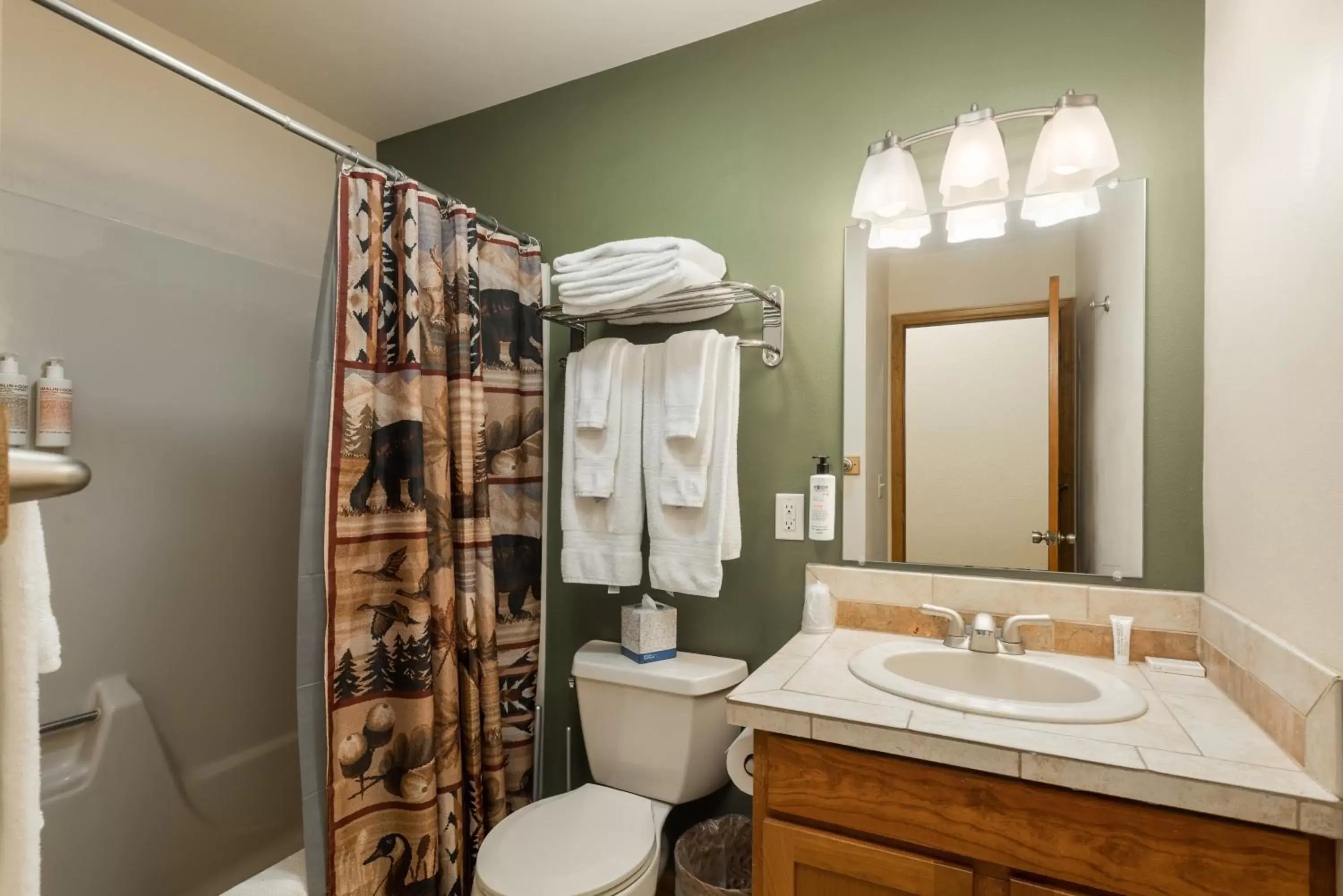 Bathroom in Ponderosa Lodge