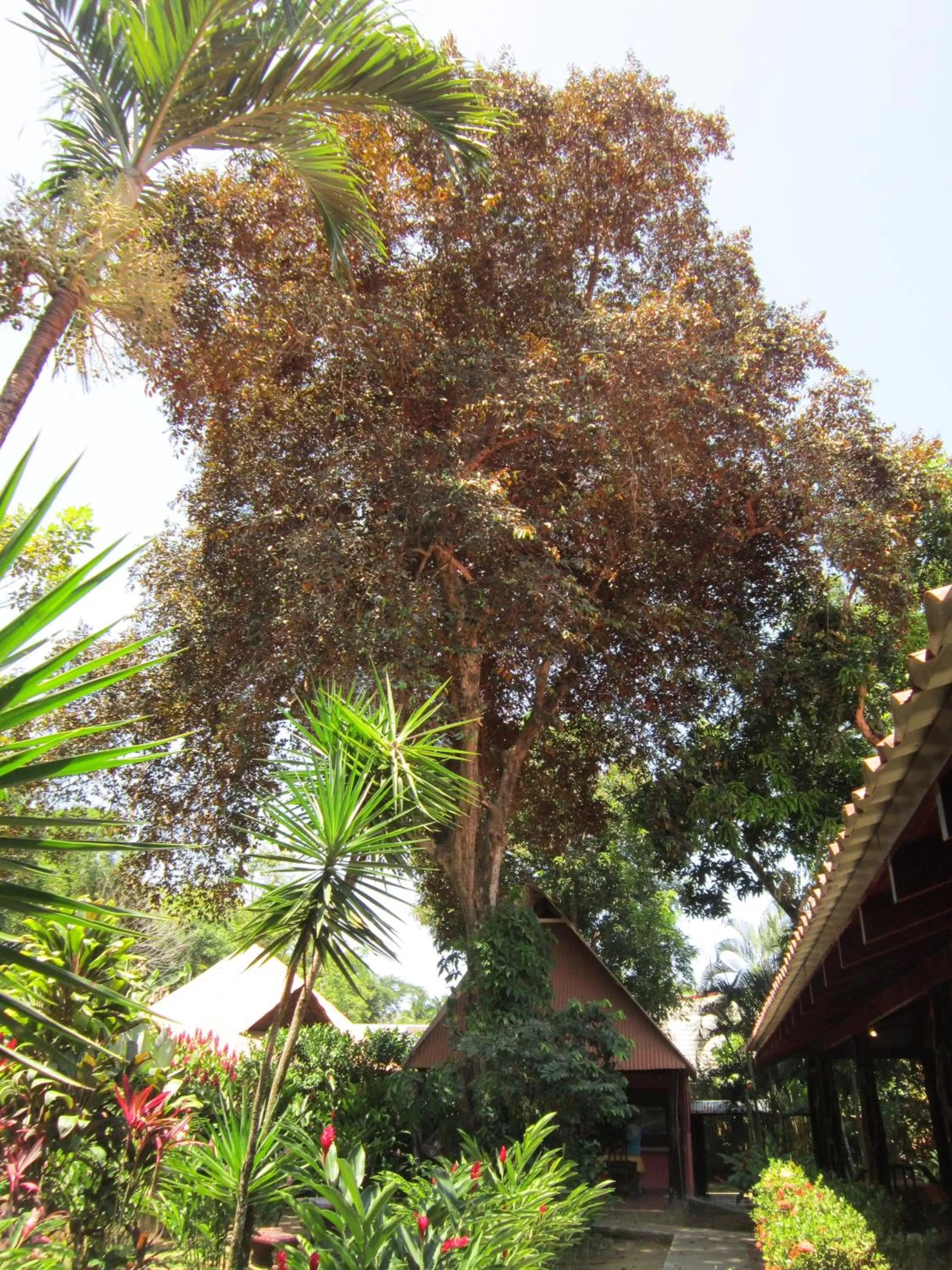 Communal lounge/ TV room in Hotel El Paraiso Escondido - Costa Rica