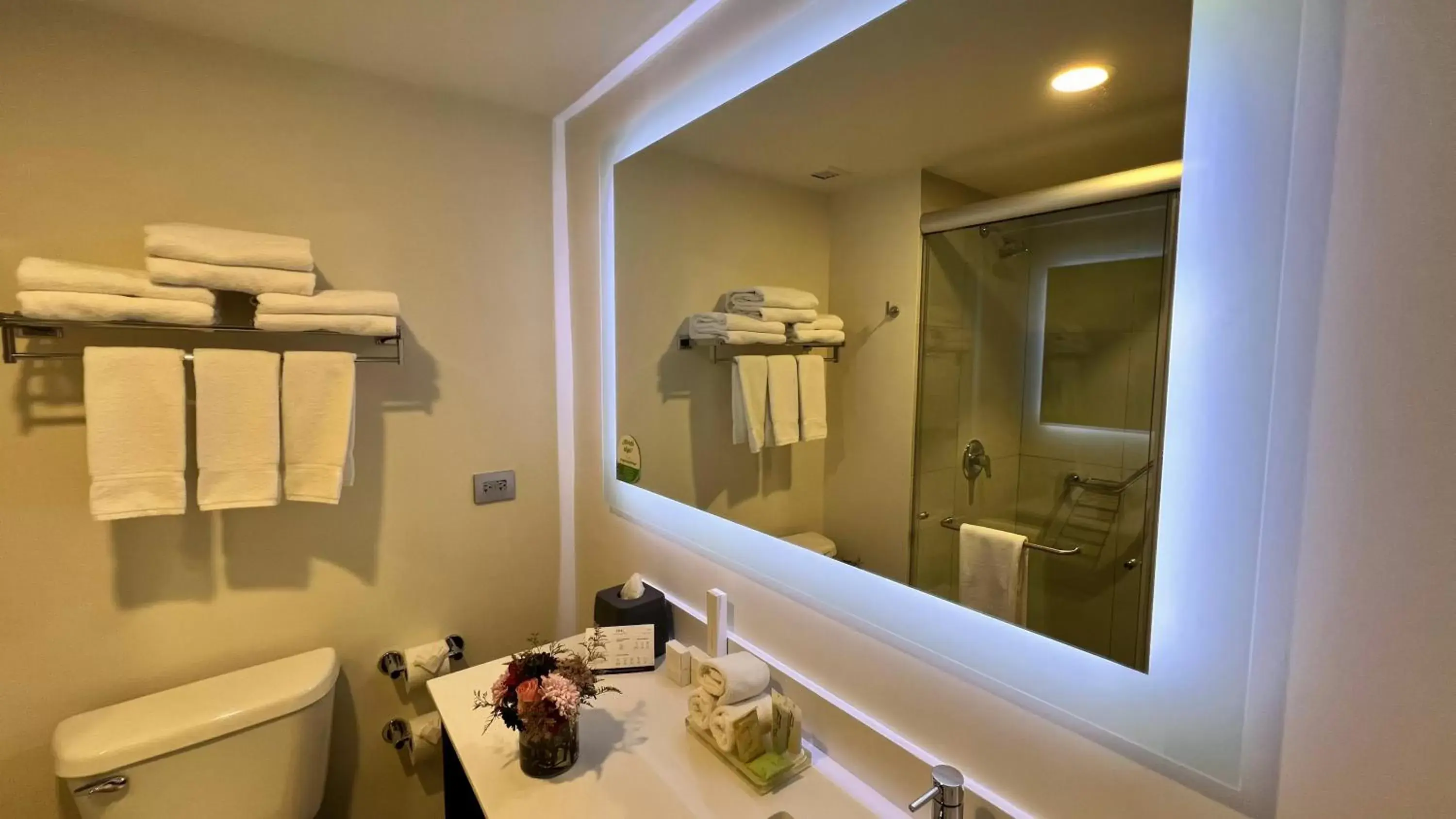 Bedroom, Bathroom in Holiday Inn Tlaxcala, an IHG Hotel