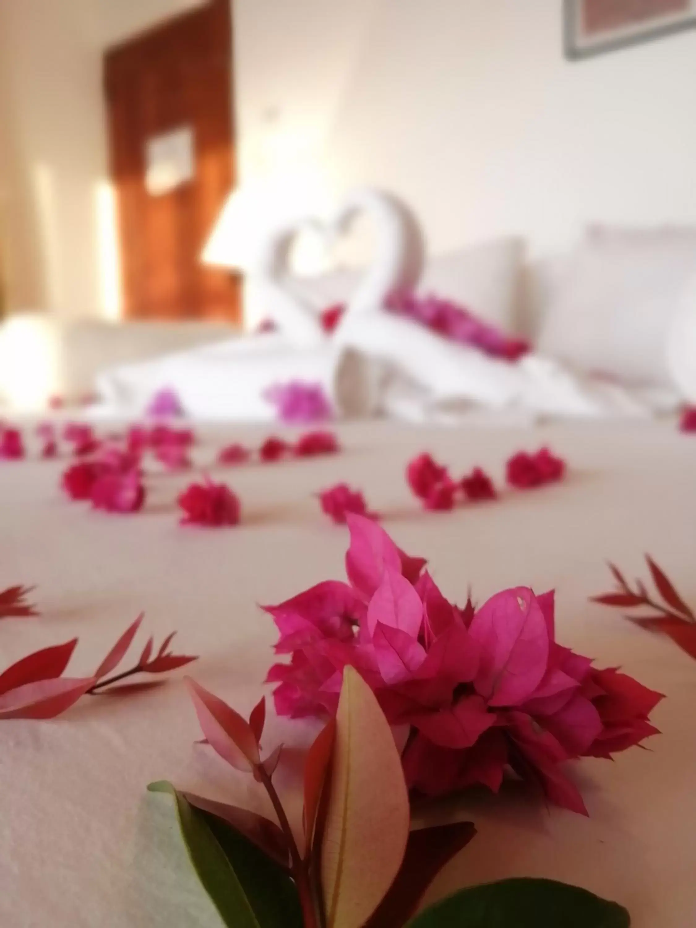 Deluxe King Suite - single occupancy in Kandy Unique Hotel Deluxe King Suite - single occupancy in Kandy Unique Hotel