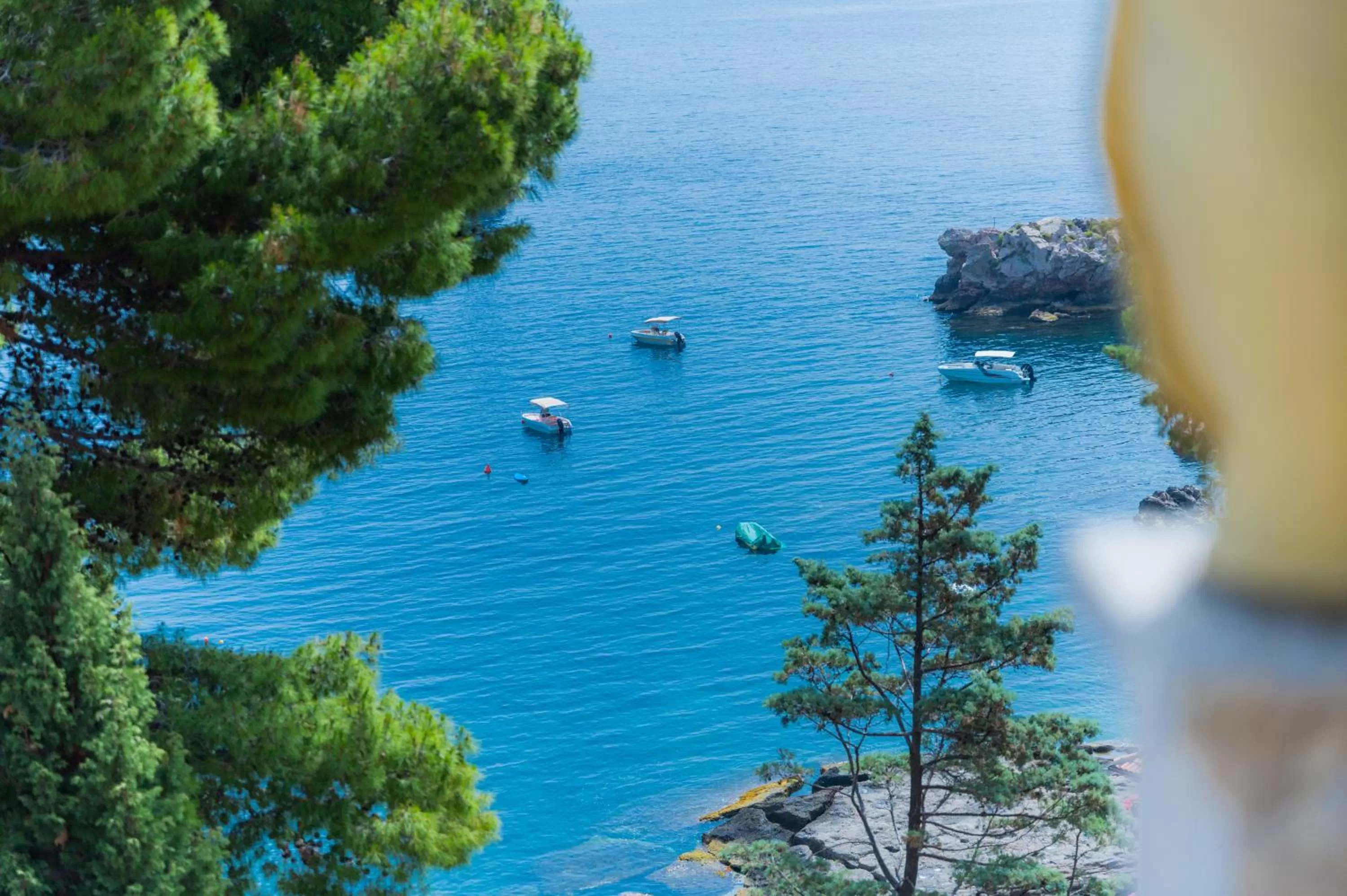 Natural landscape in ToviMar Apartments