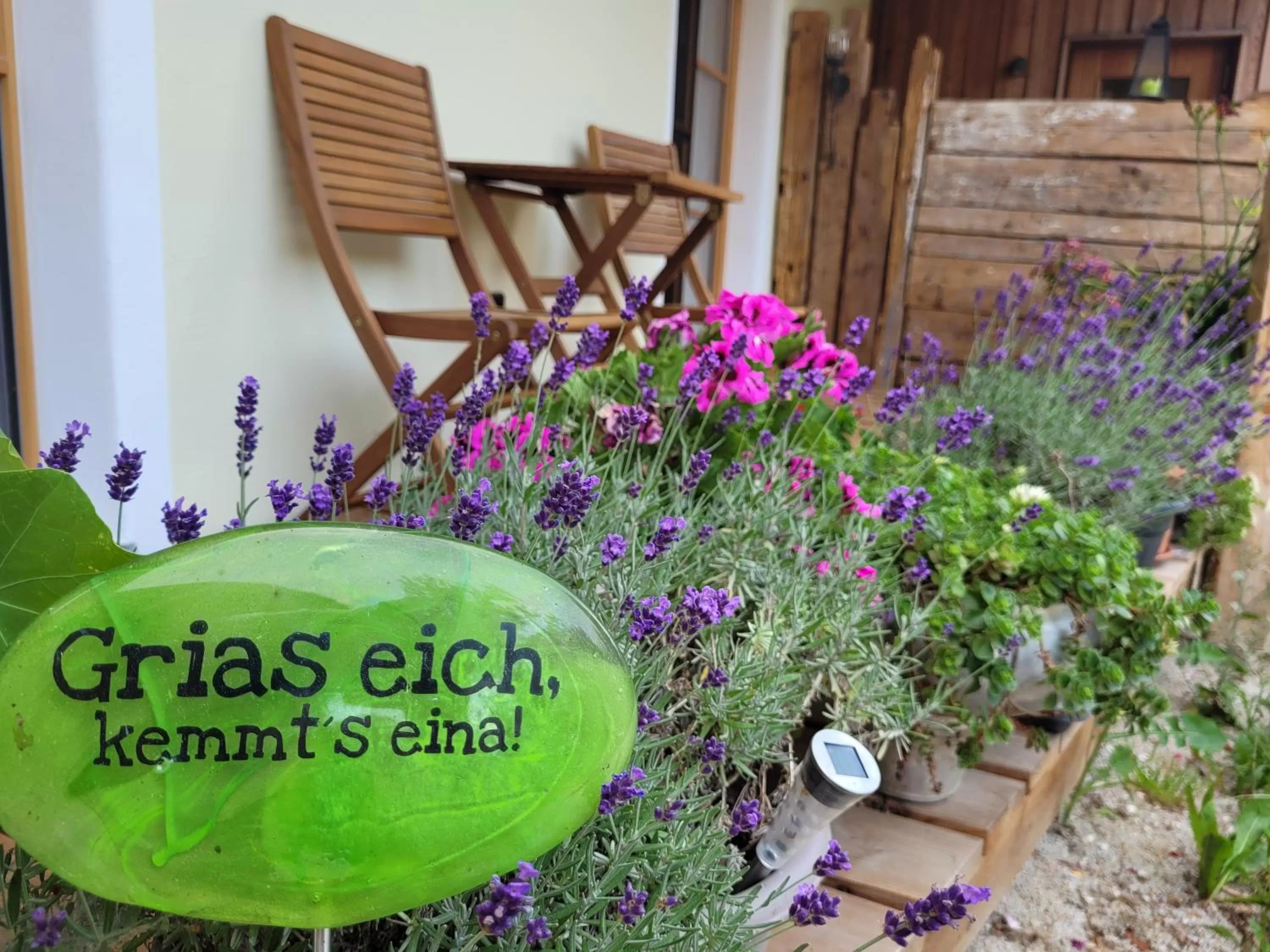 Balcony/Terrace in Landhotel Großeiberhof