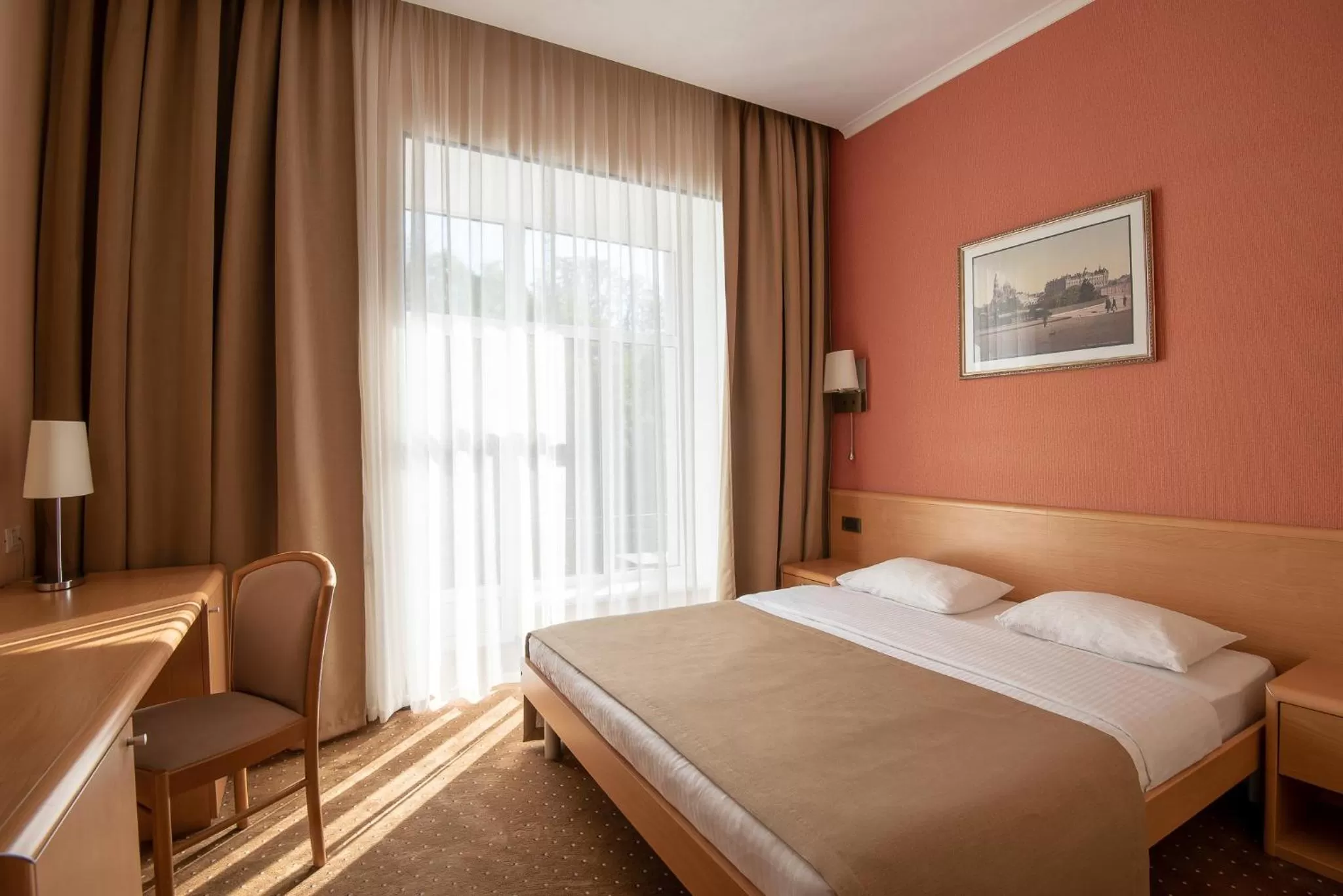 Double Room with Balcony - single occupancy in Alexandrovskiy Hotel