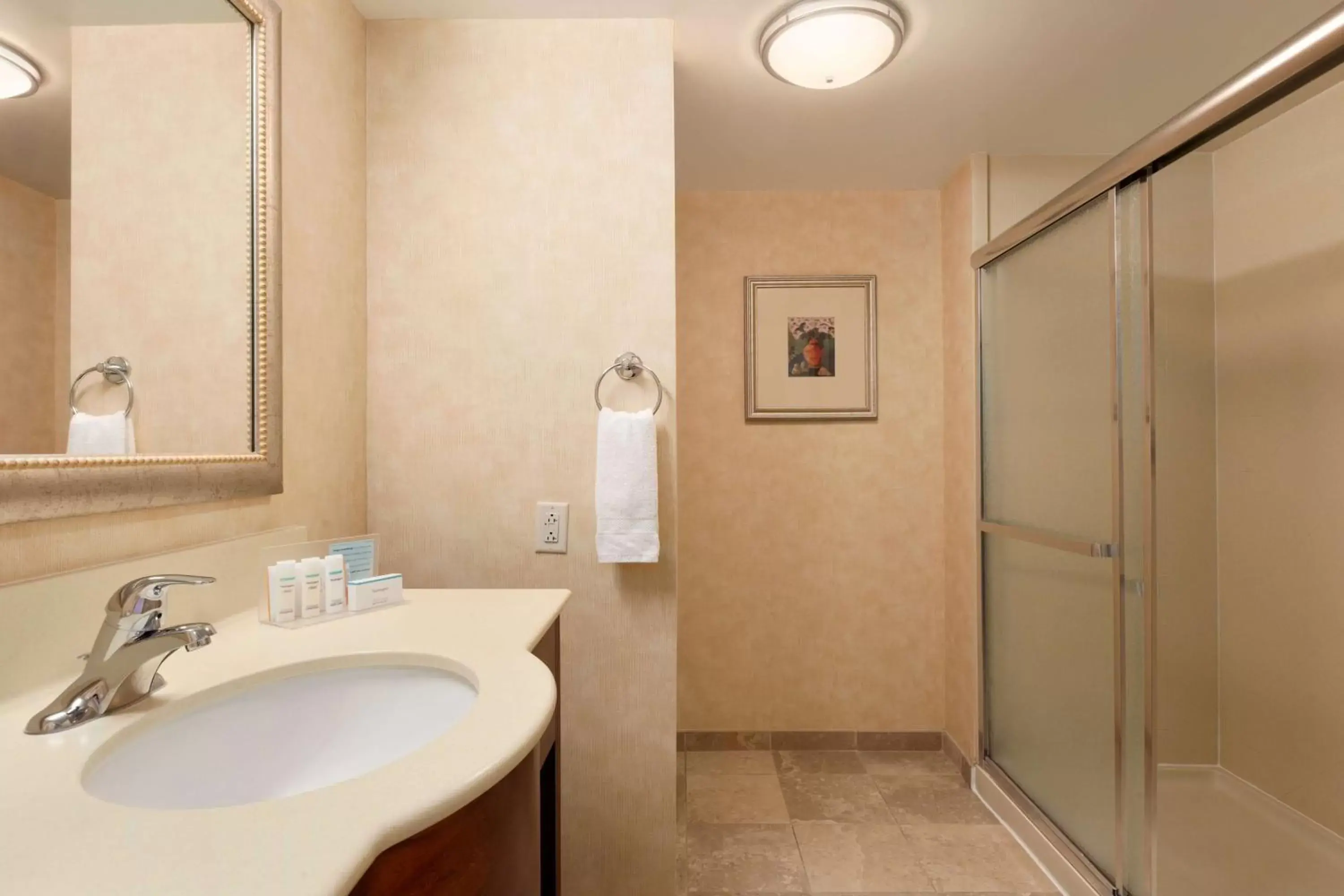 Bathroom in Hampton Inn Geneva Bathroom in Hampton Inn Geneva