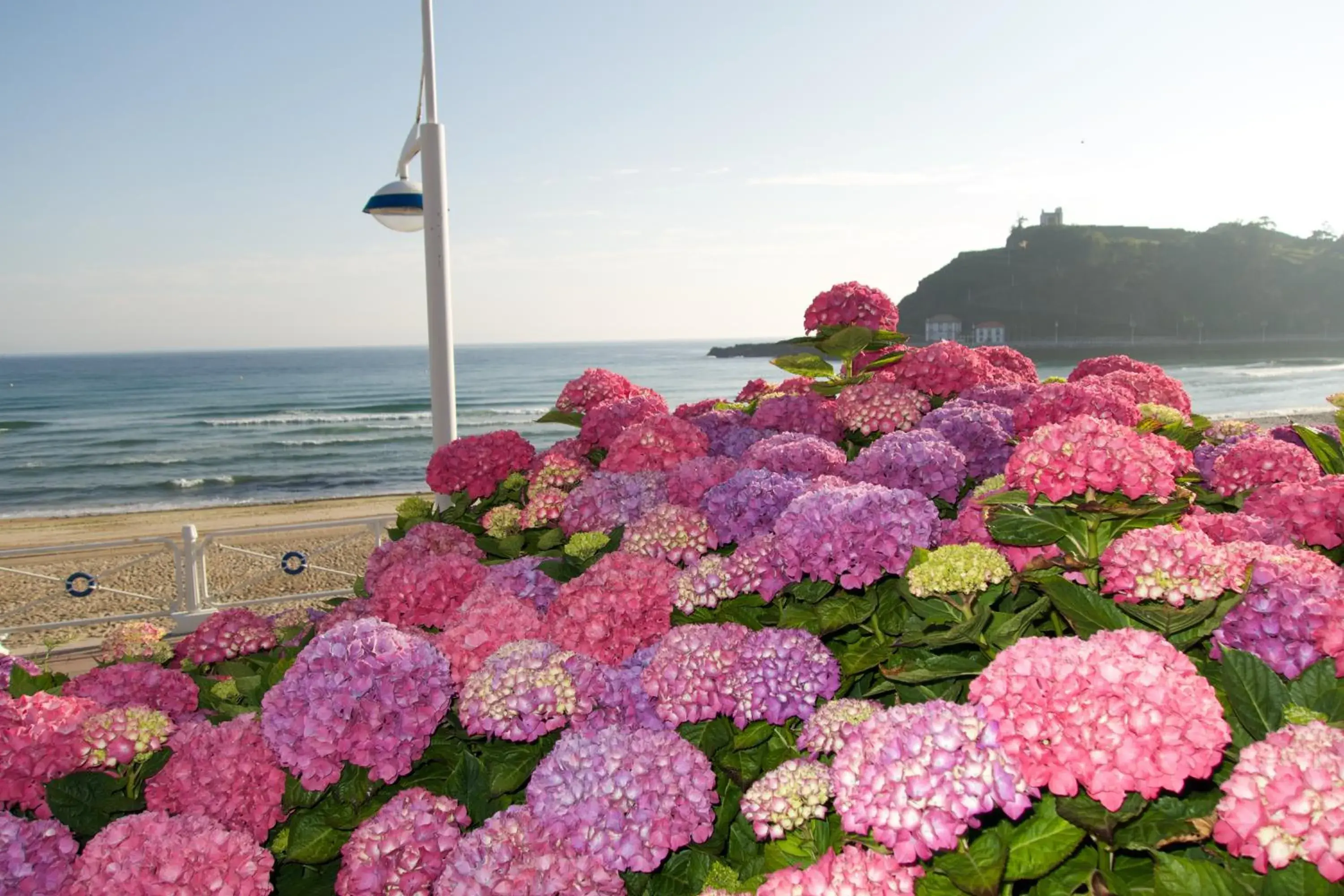 Area and facilities, Sea View in Hotel Don Pepe