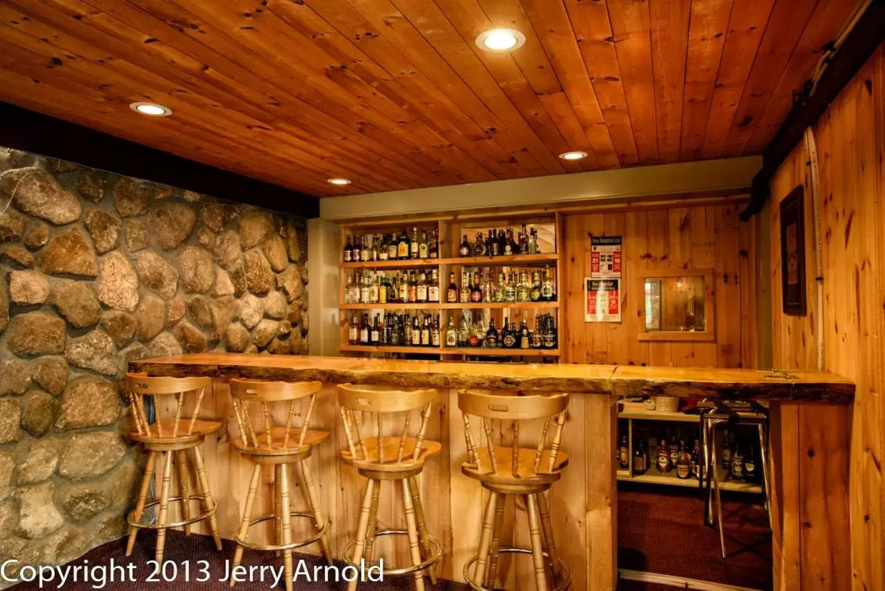 Lounge or bar, Lounge/Bar in Snowy Owl Inn