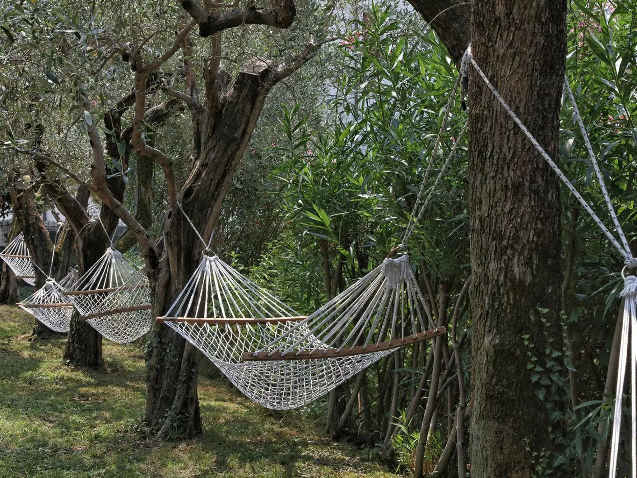 Garden in Hotel Caesius Thermae & Spa Resort