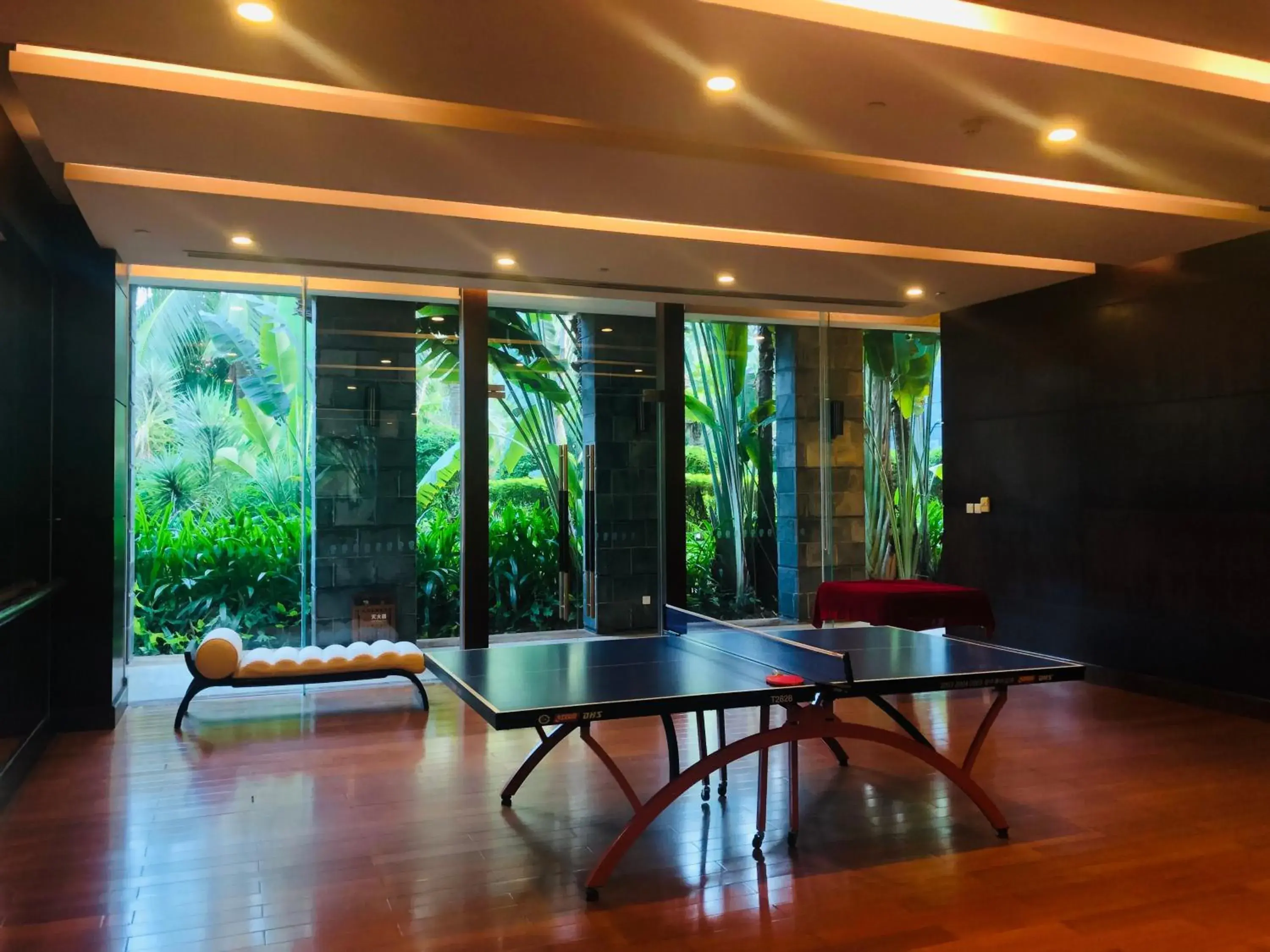 Table Tennis in Banyan Tree Sanya