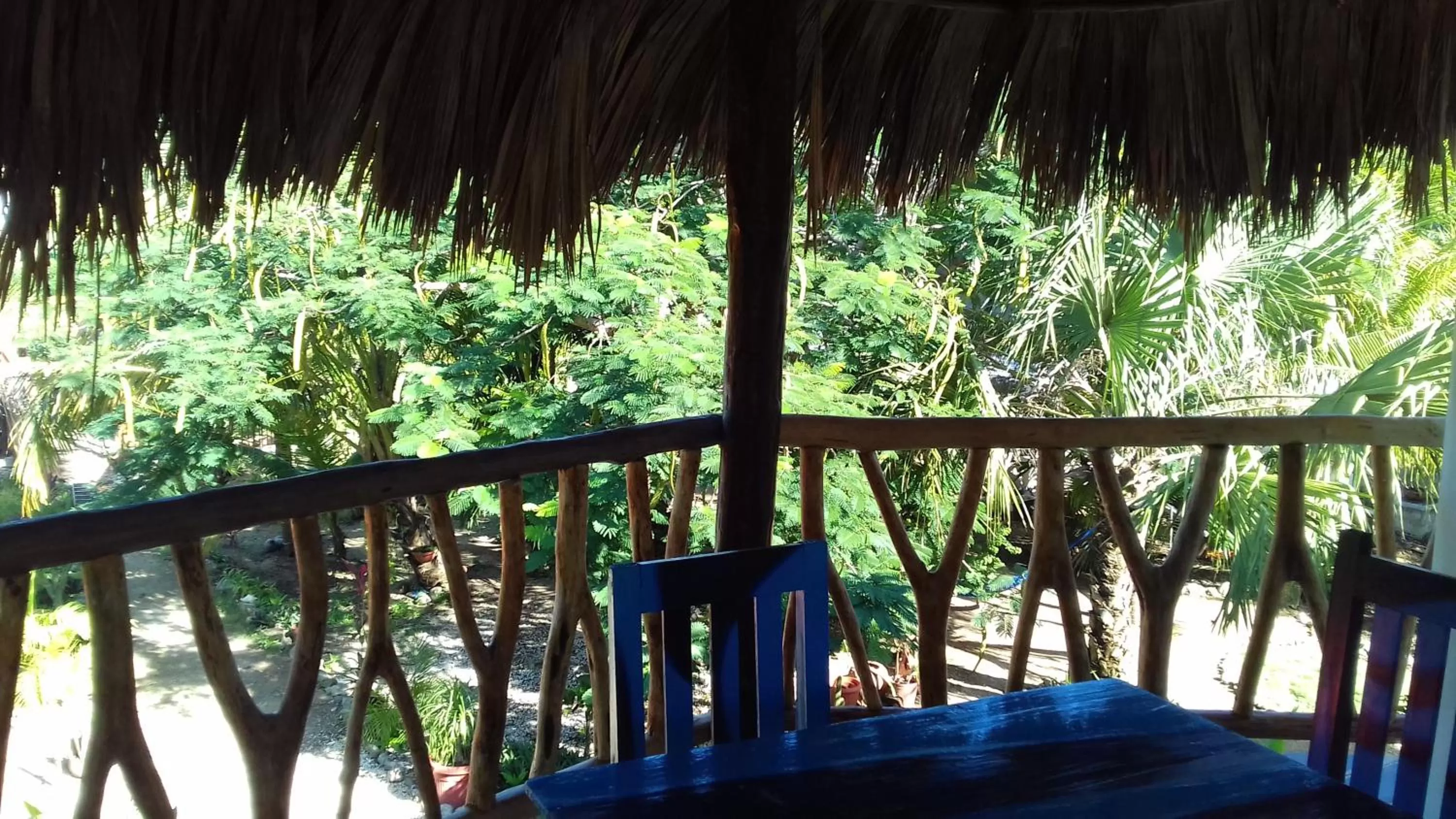 Balcony/Terrace in Zamunda Garden View