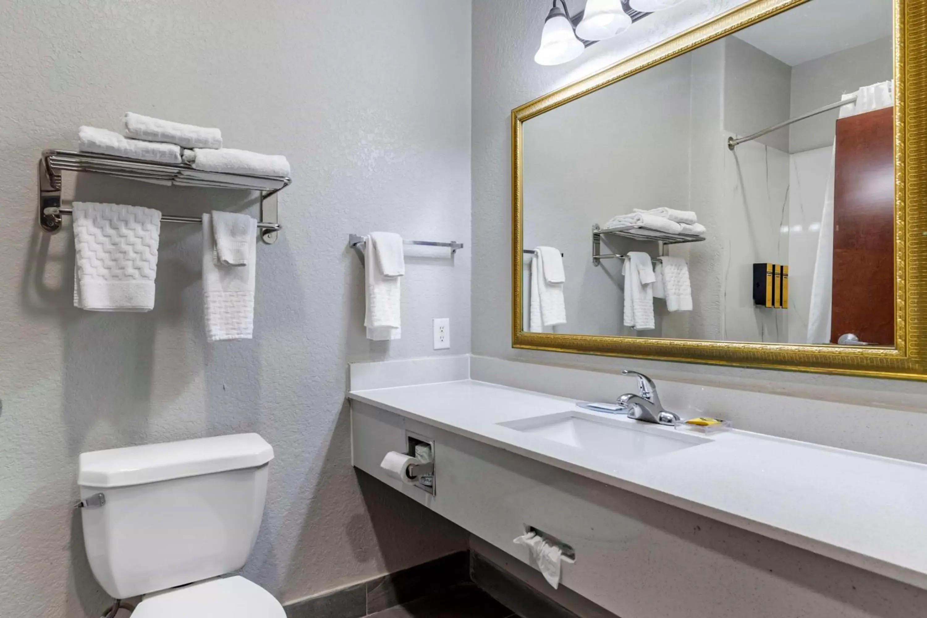 Bathroom in Best Western PLUS Victoria Inn & Suites