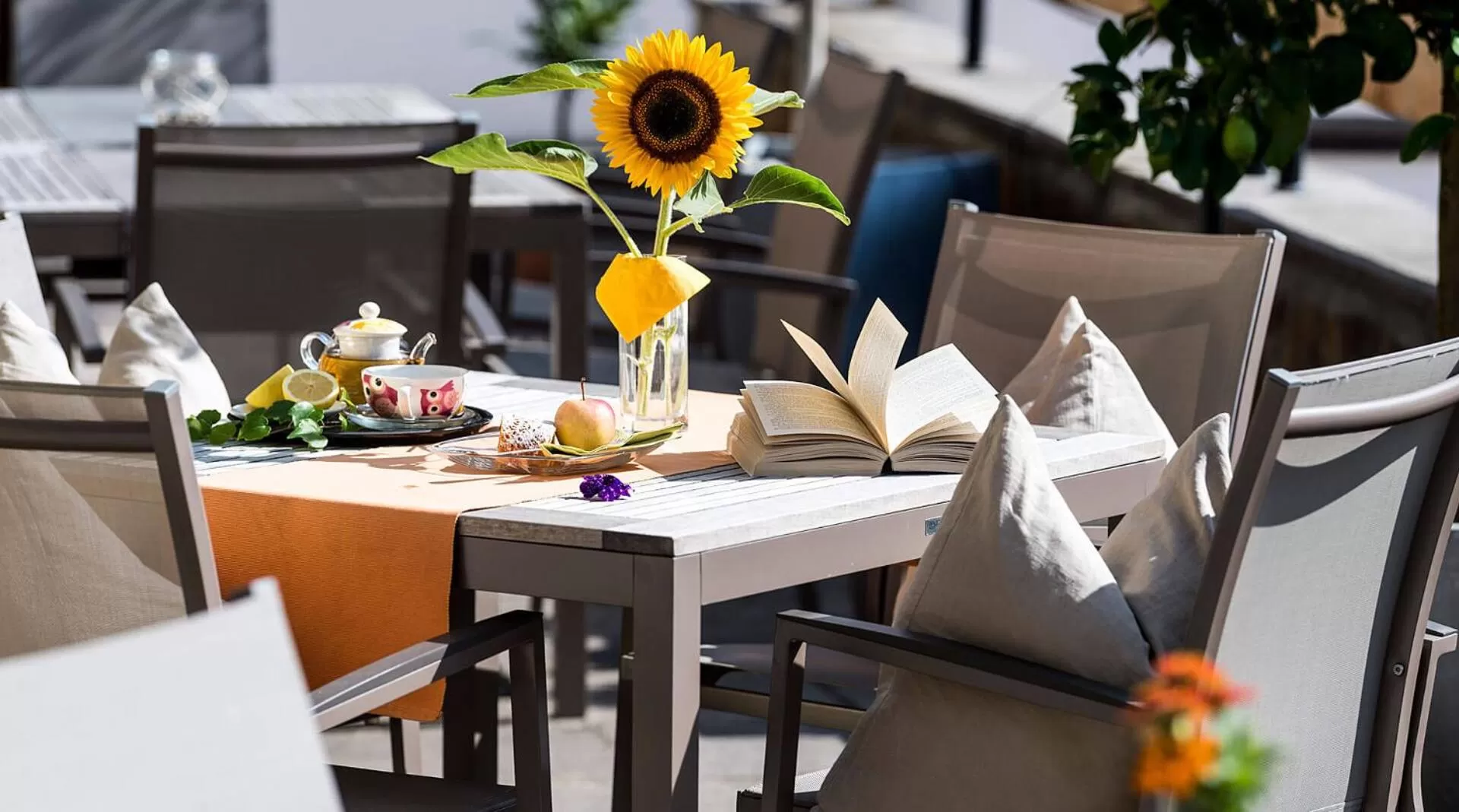 Balcony/Terrace in Activehotel Diana