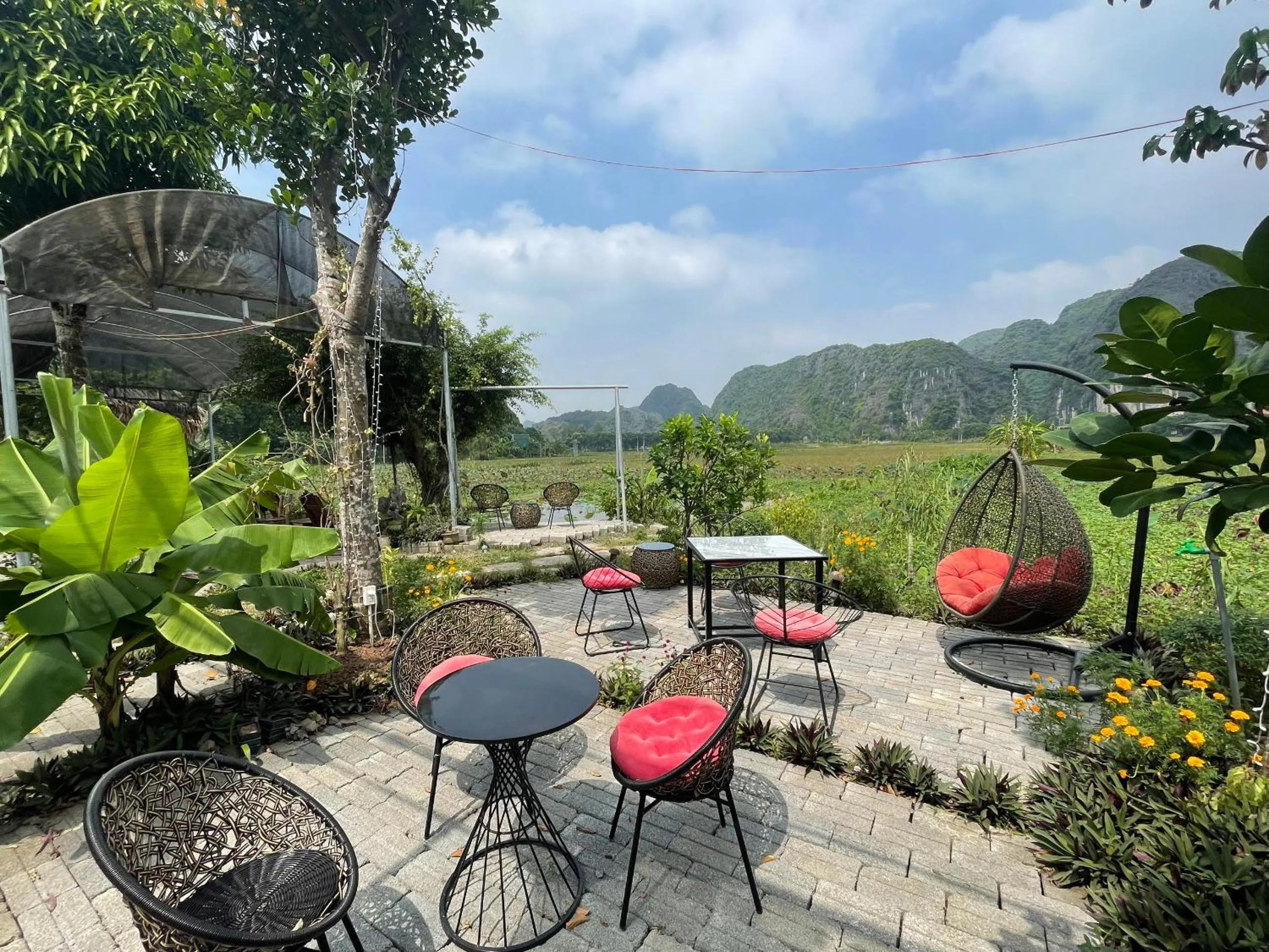 Tam Coc Mountain View Homestay