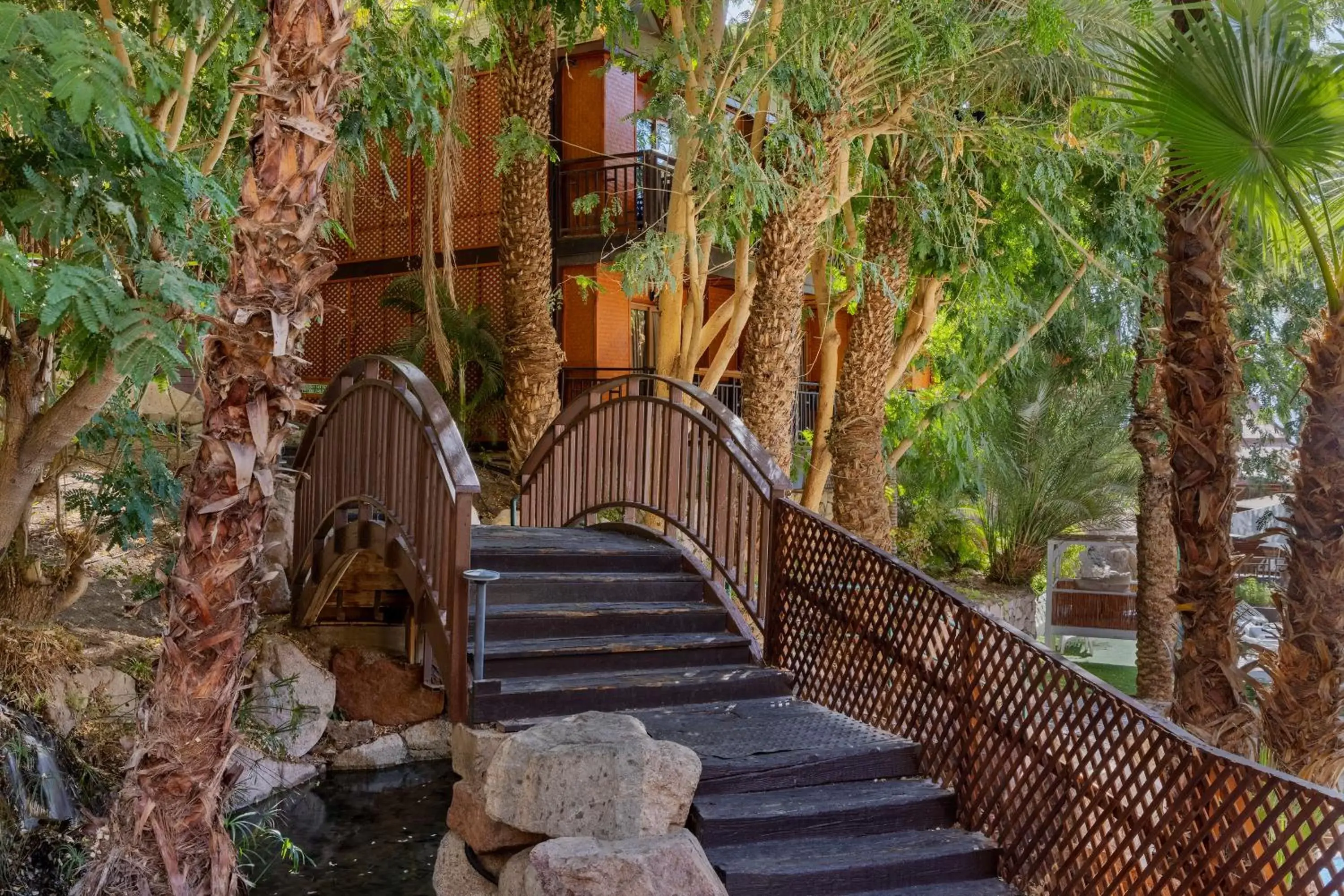 Garden in Herbert Samuel Royal Shangri-La Eilat