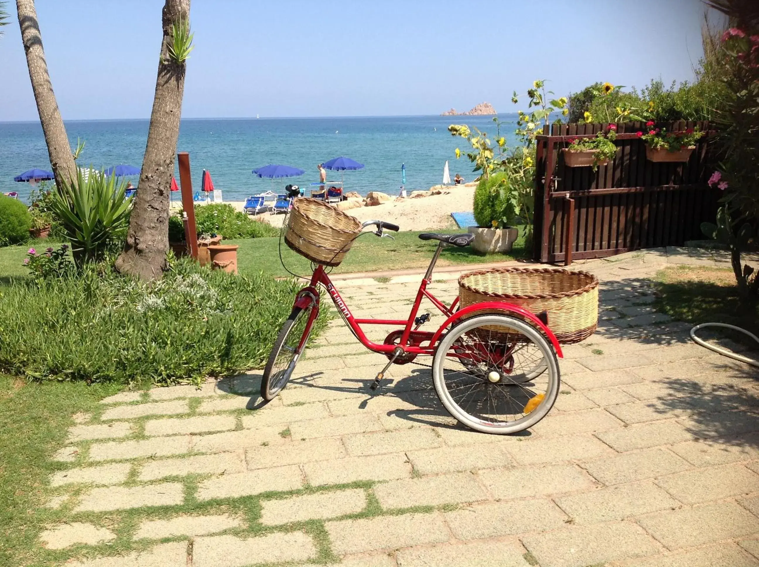 Garden in Hotel Mediterraneo