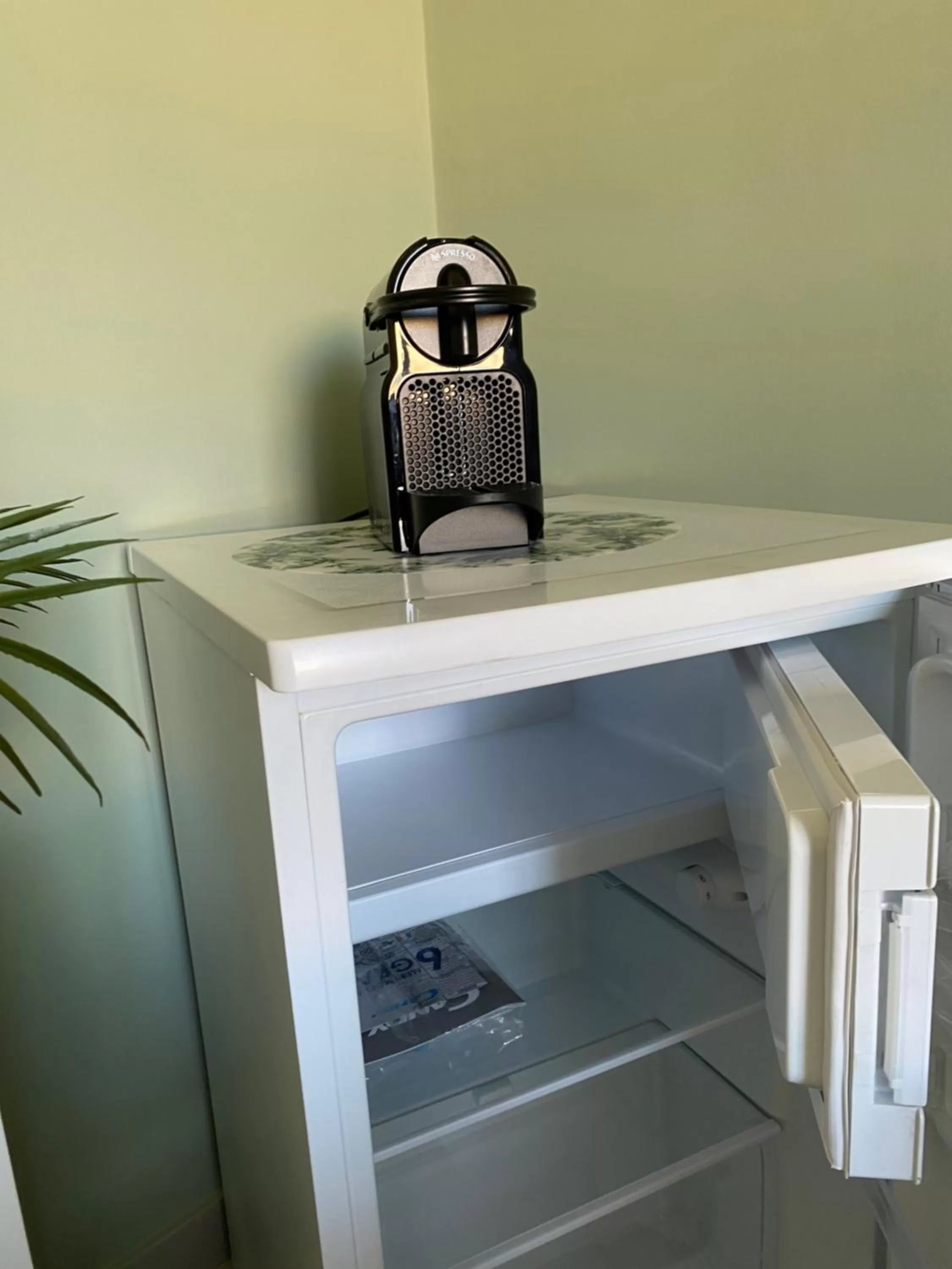 hair dresser, Kitchen/Kitchenette in BOTANICAL SUITE