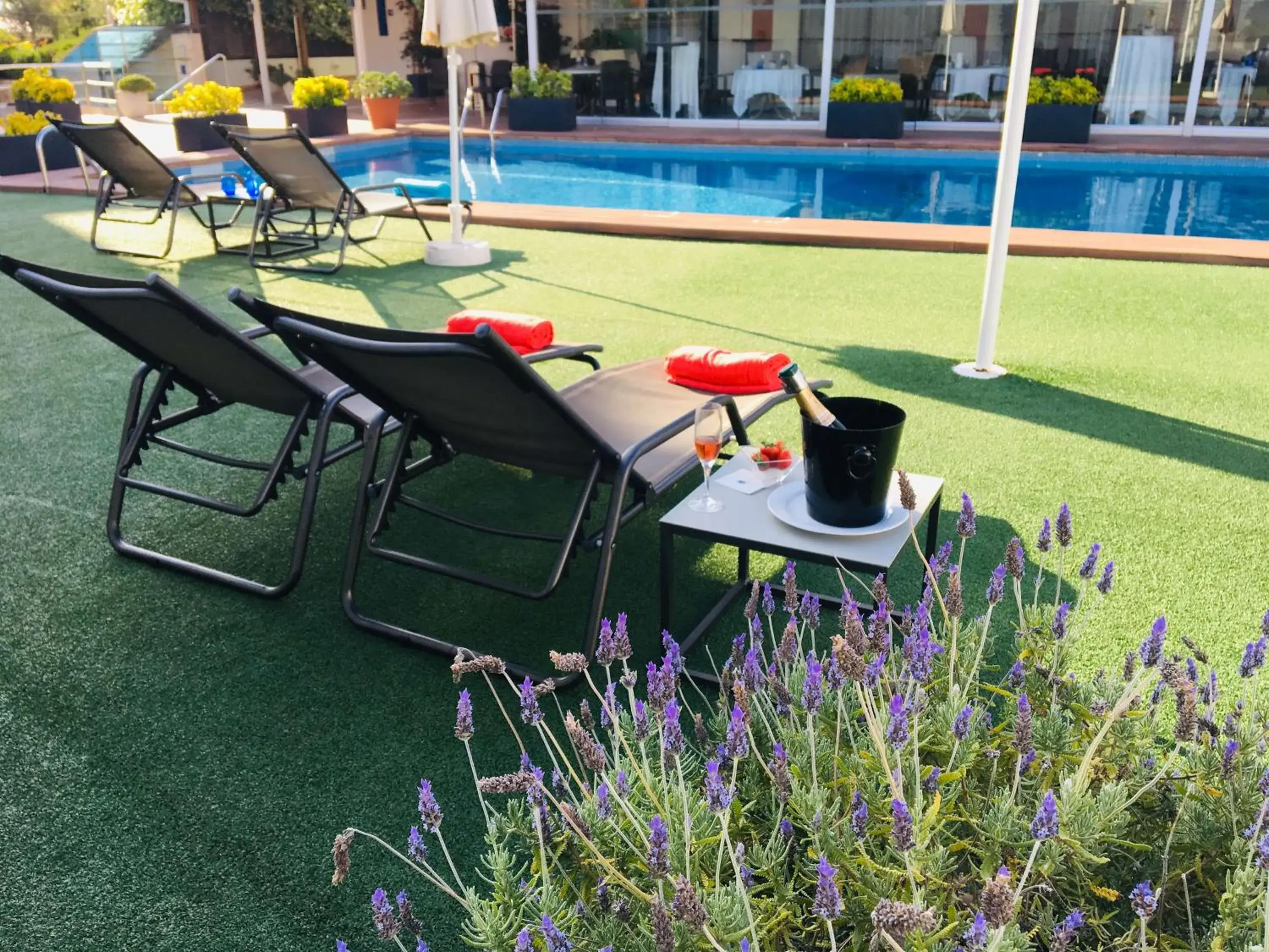 Pool view, Swimming Pool in Best Western Hotel Mediterraneo