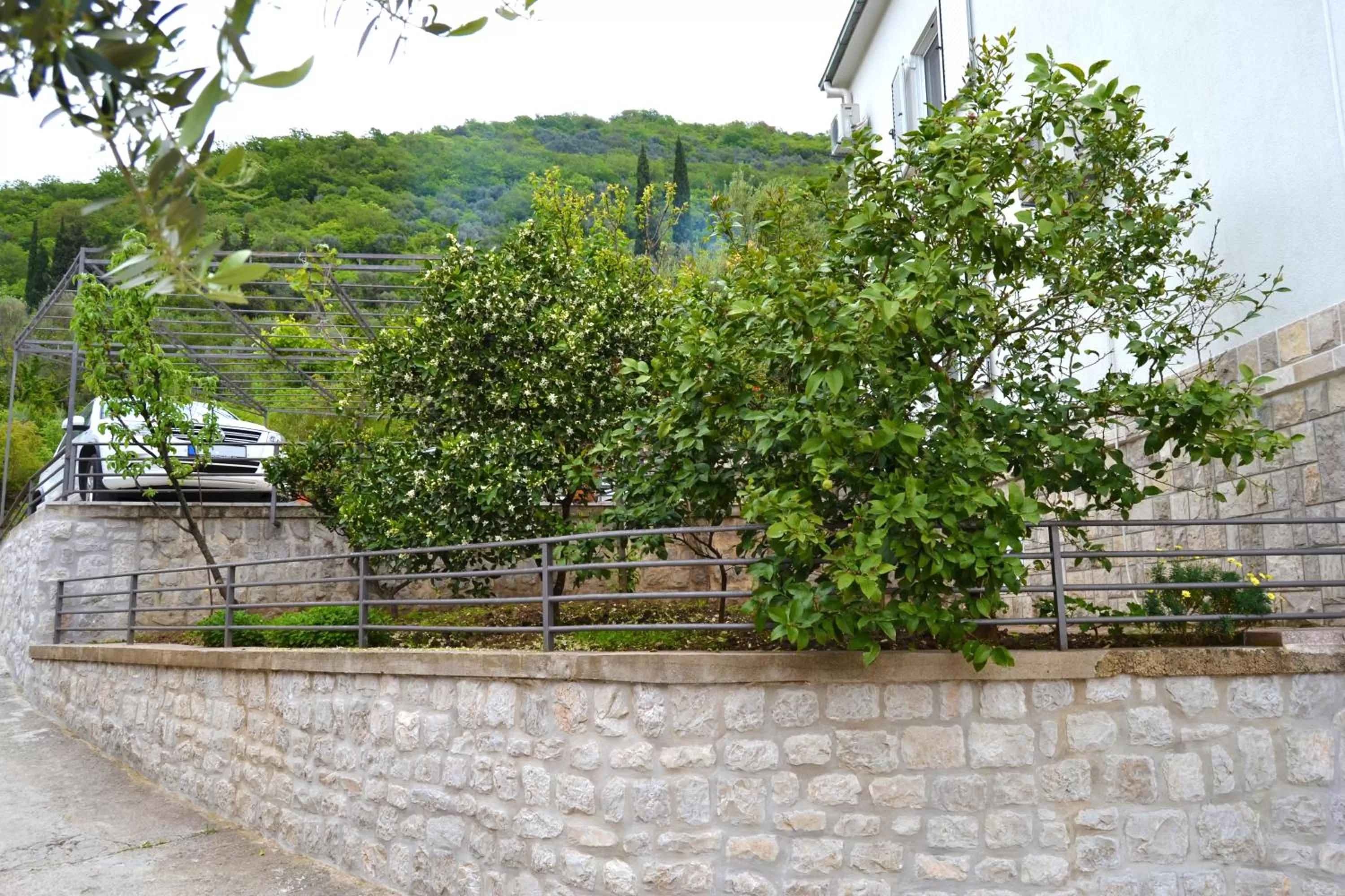 Facade/entrance in Tivat Apartments