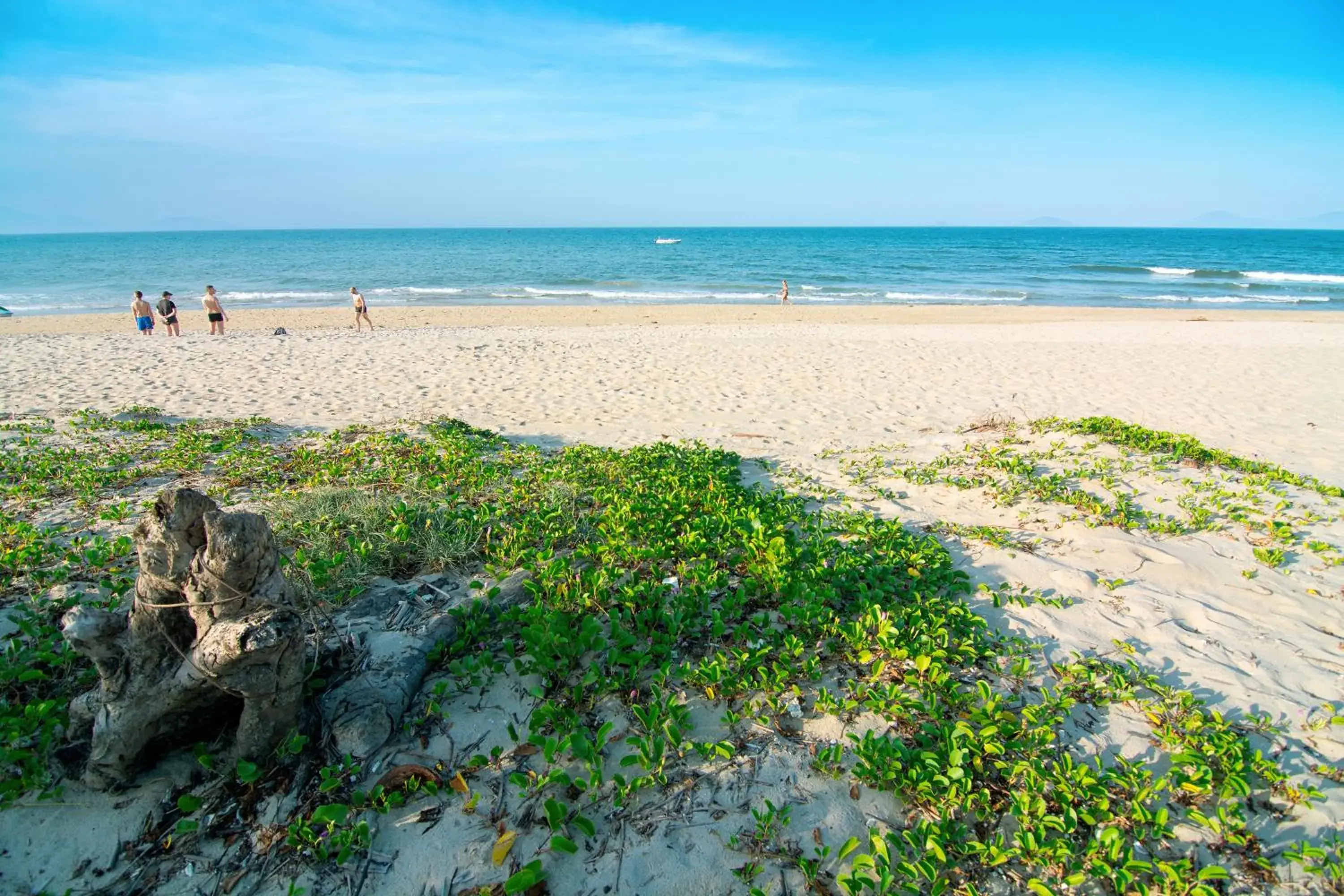 Beach in Local Beach Homestay