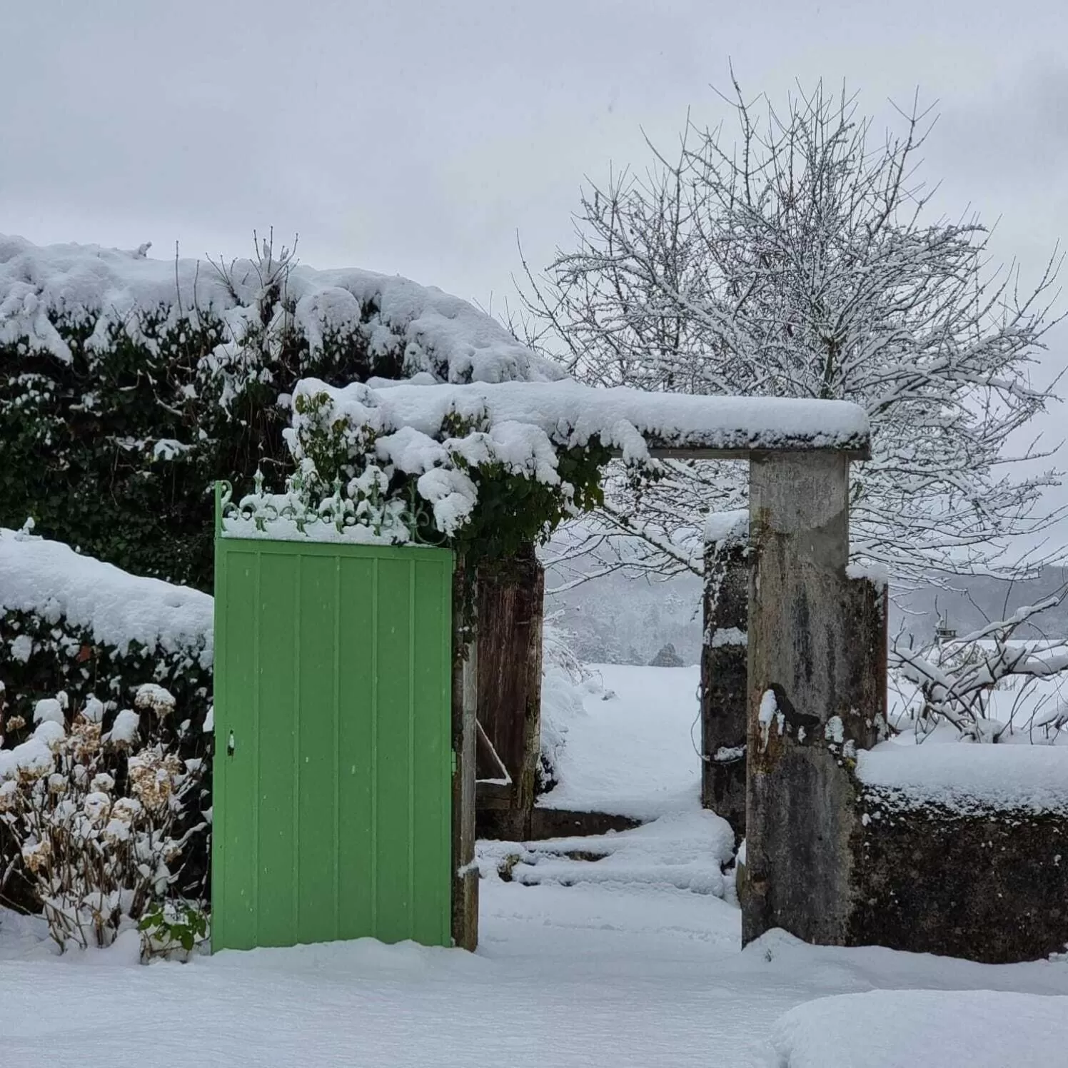 Property building, Winter in La Vallombreuse