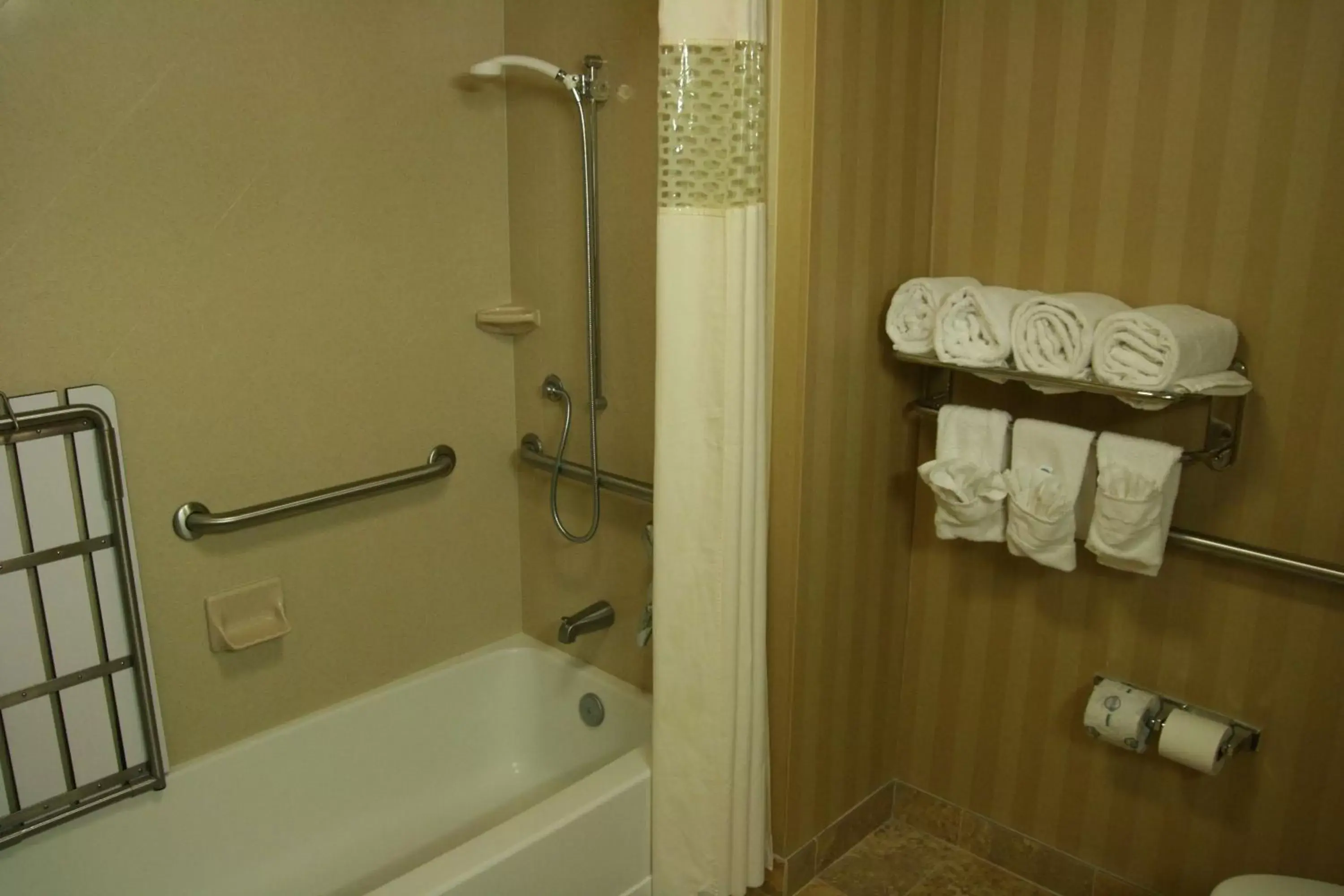 Bathroom in Hampton Inn & Suites Mobile Providence Park/Airport