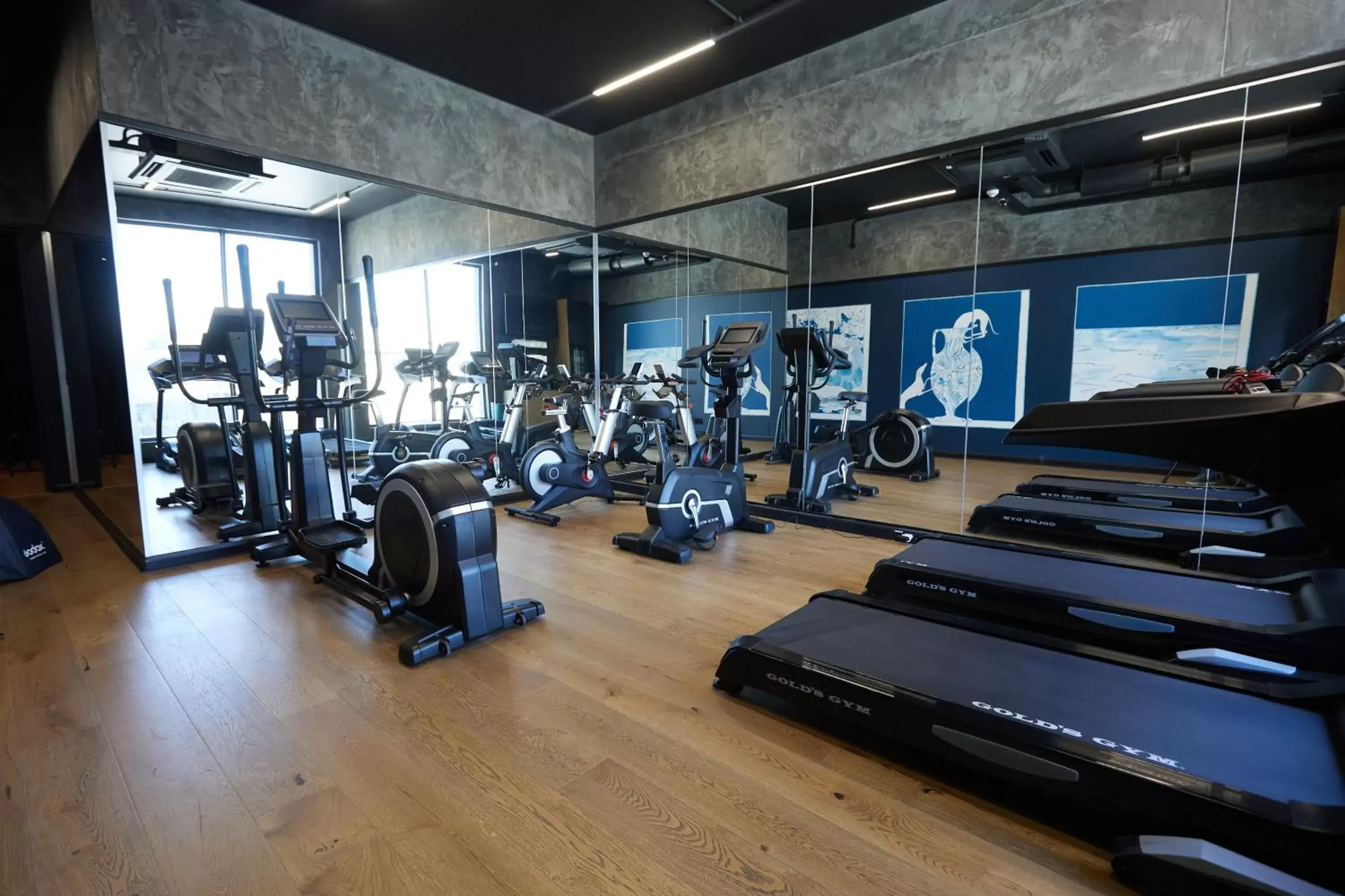 Fitness centre/facilities, Fitness Center/Facilities in voco Johannesburg Rosebank an IHG Hotel