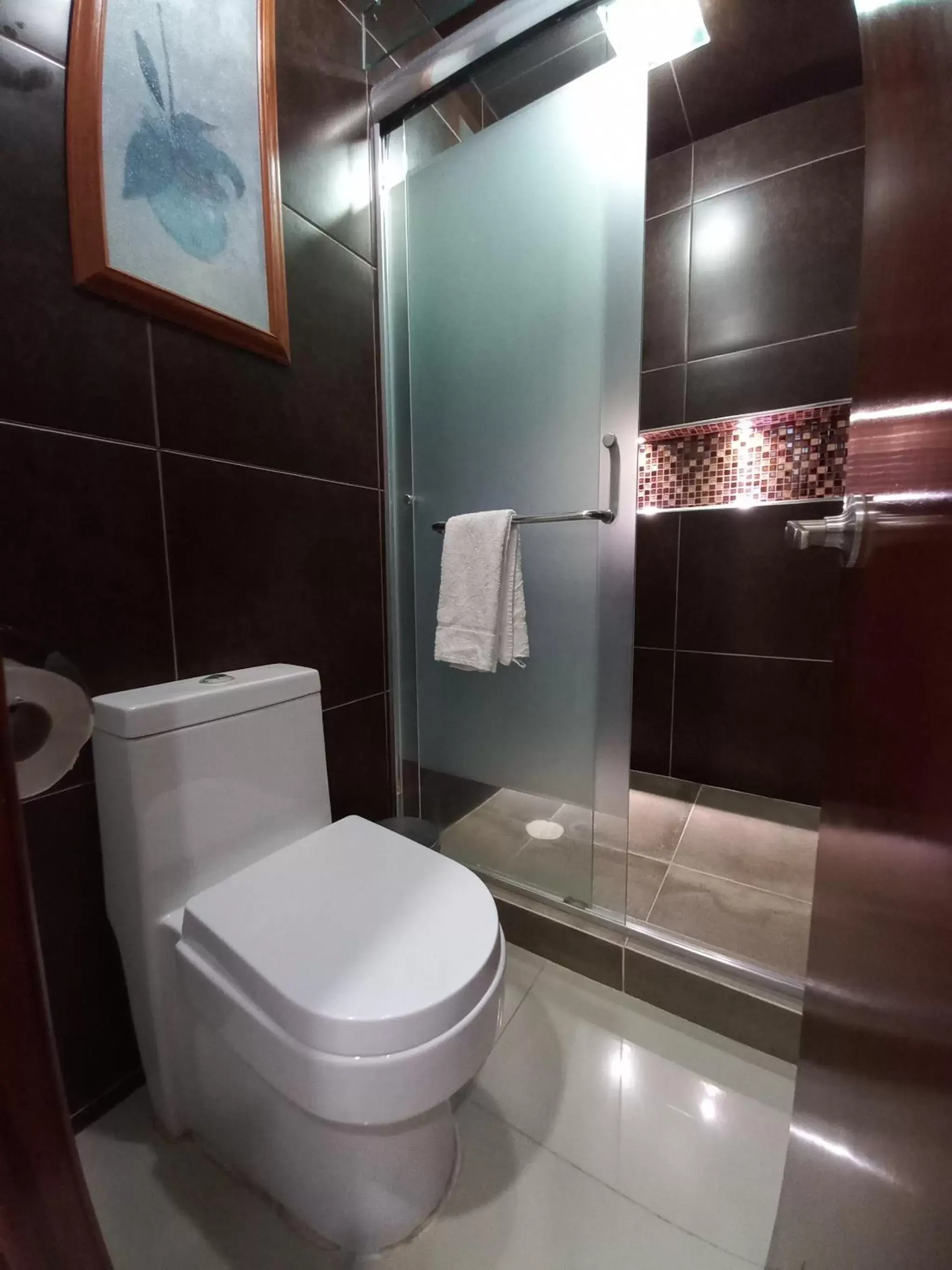 Shower, Bathroom in La Aurora Hotel Like Home