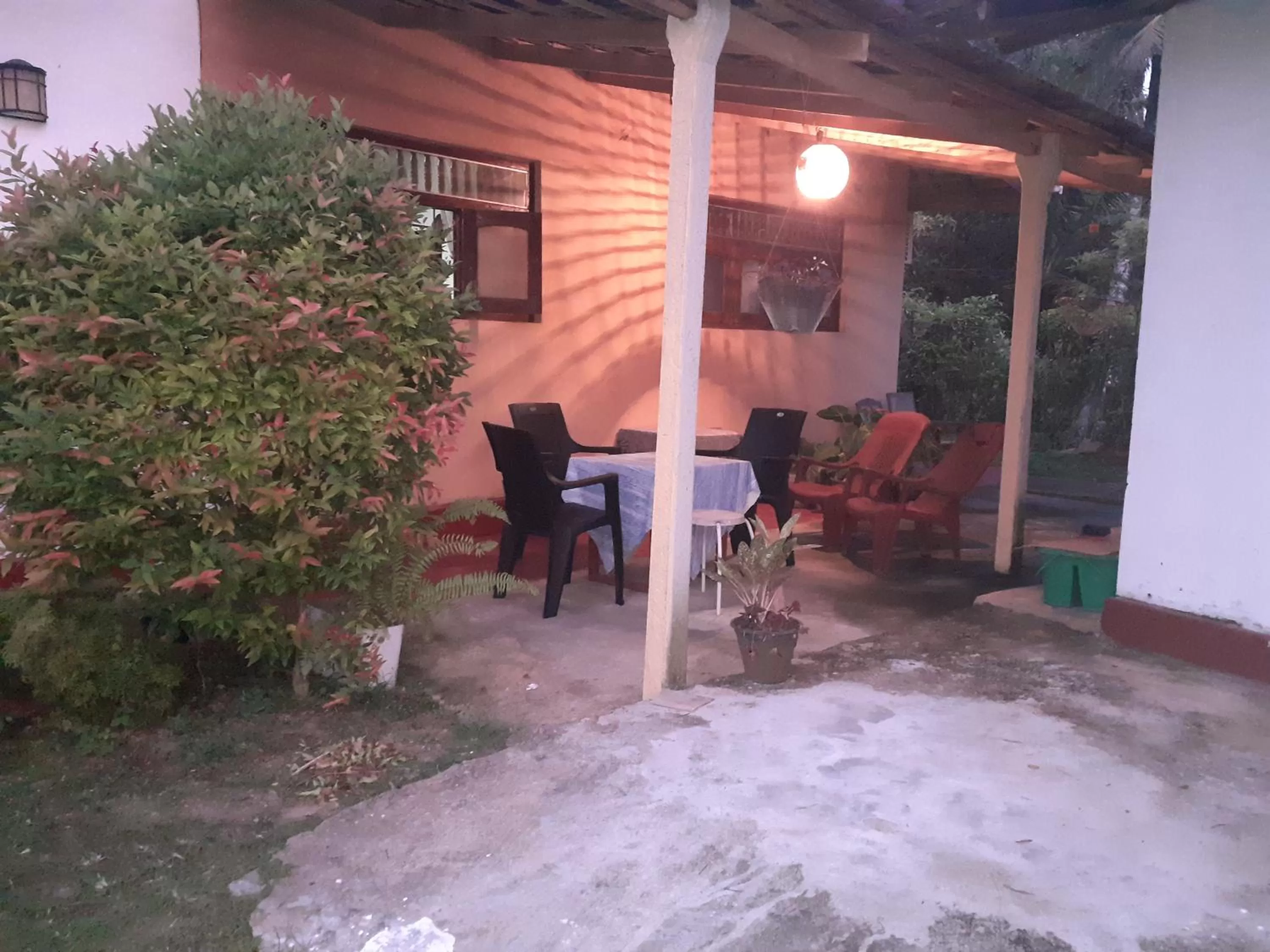 Garden in Jumera Villa Mirissa