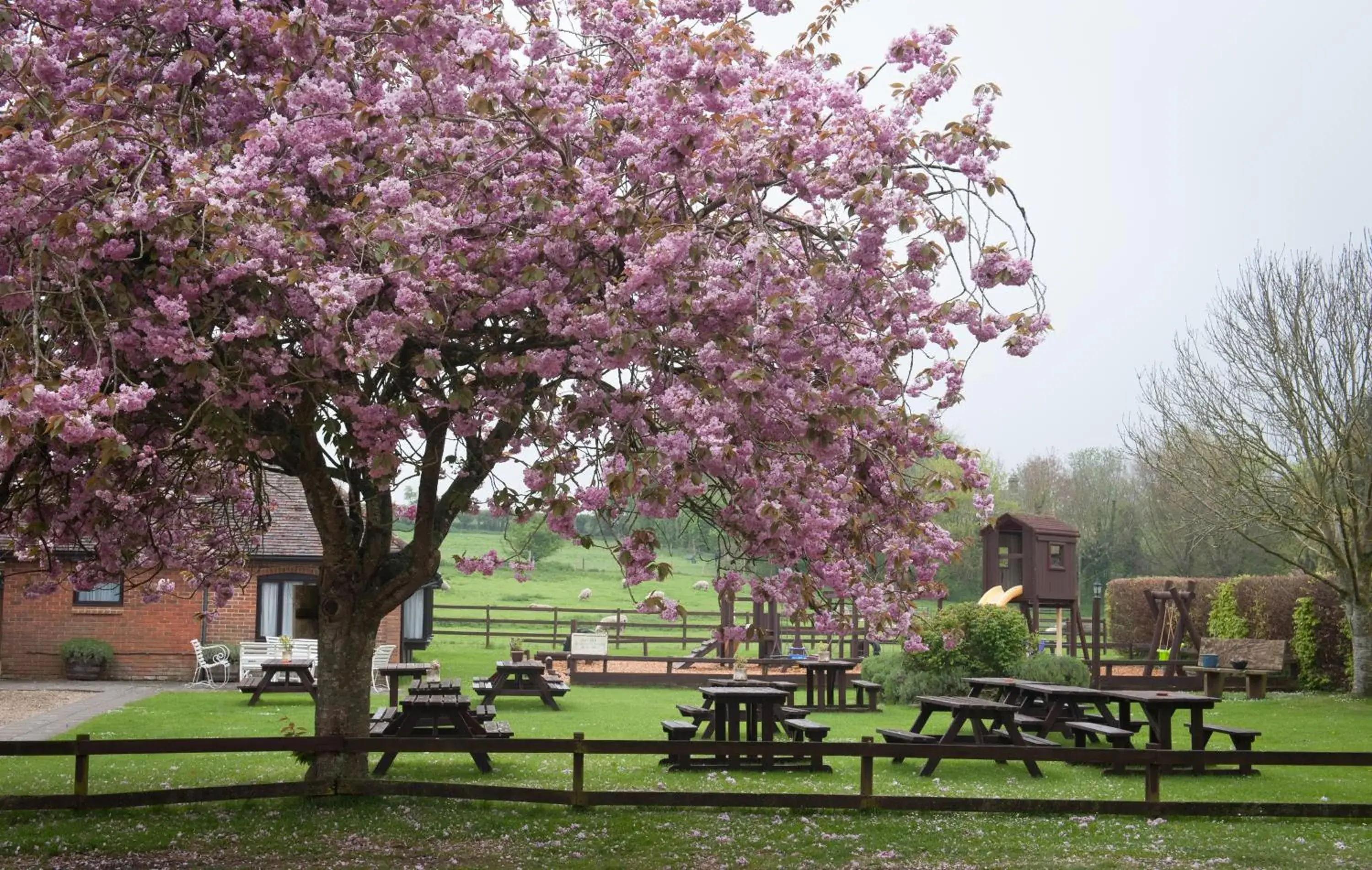 Children play ground in The Langton Arms