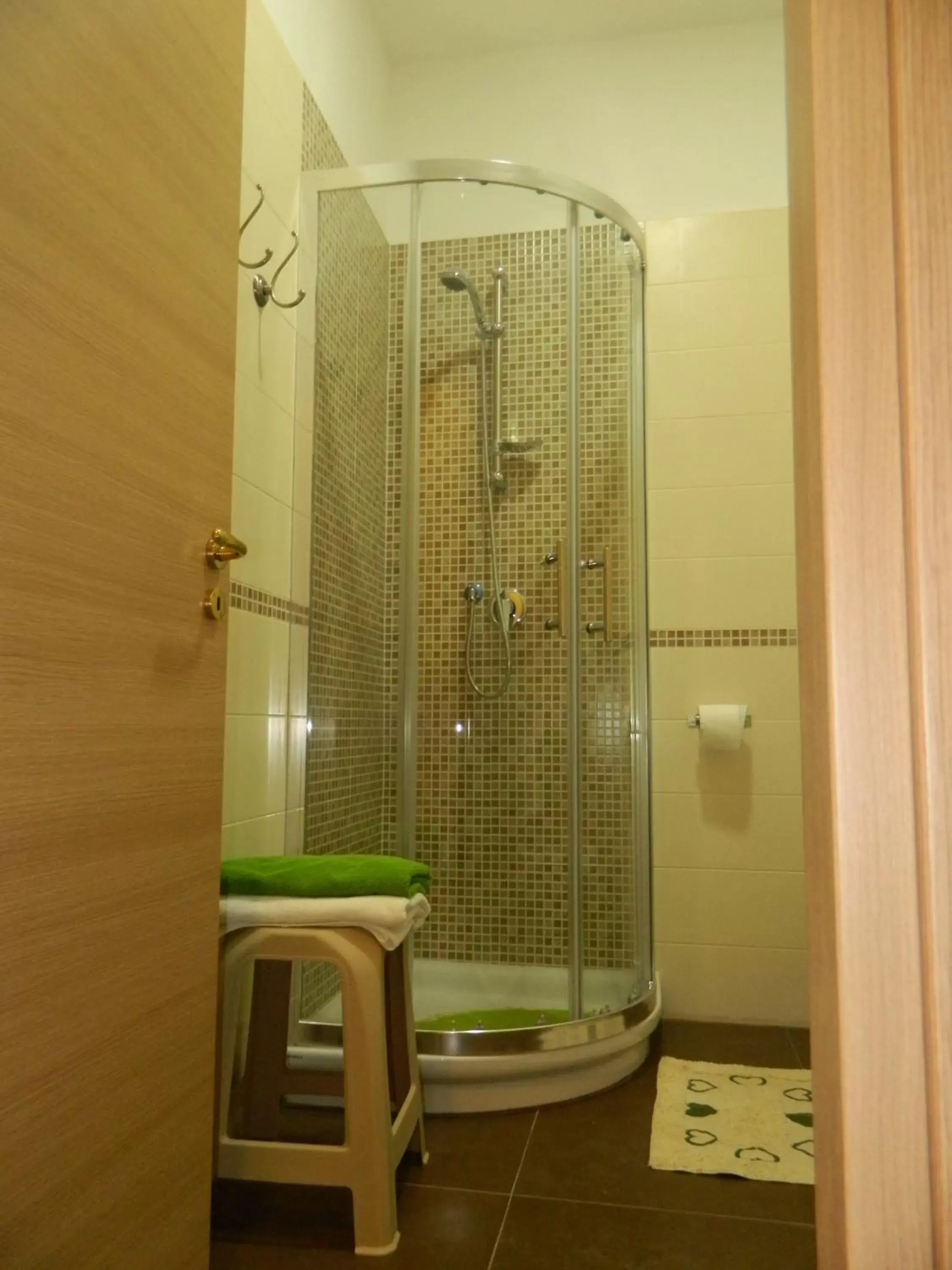 Shower, Bathroom in Bed & Breakfast Travellers