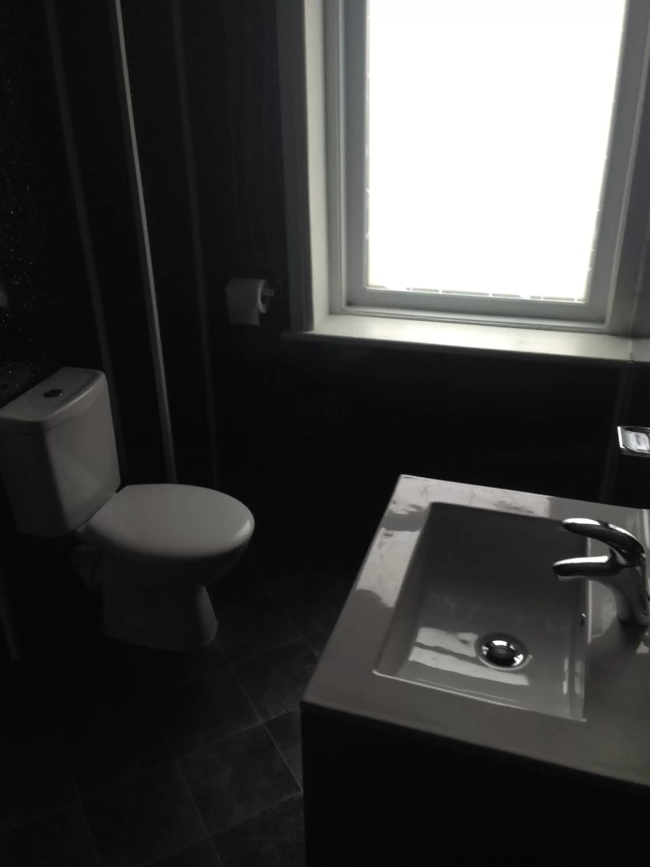 Toilet, Bathroom in Yado Hotel