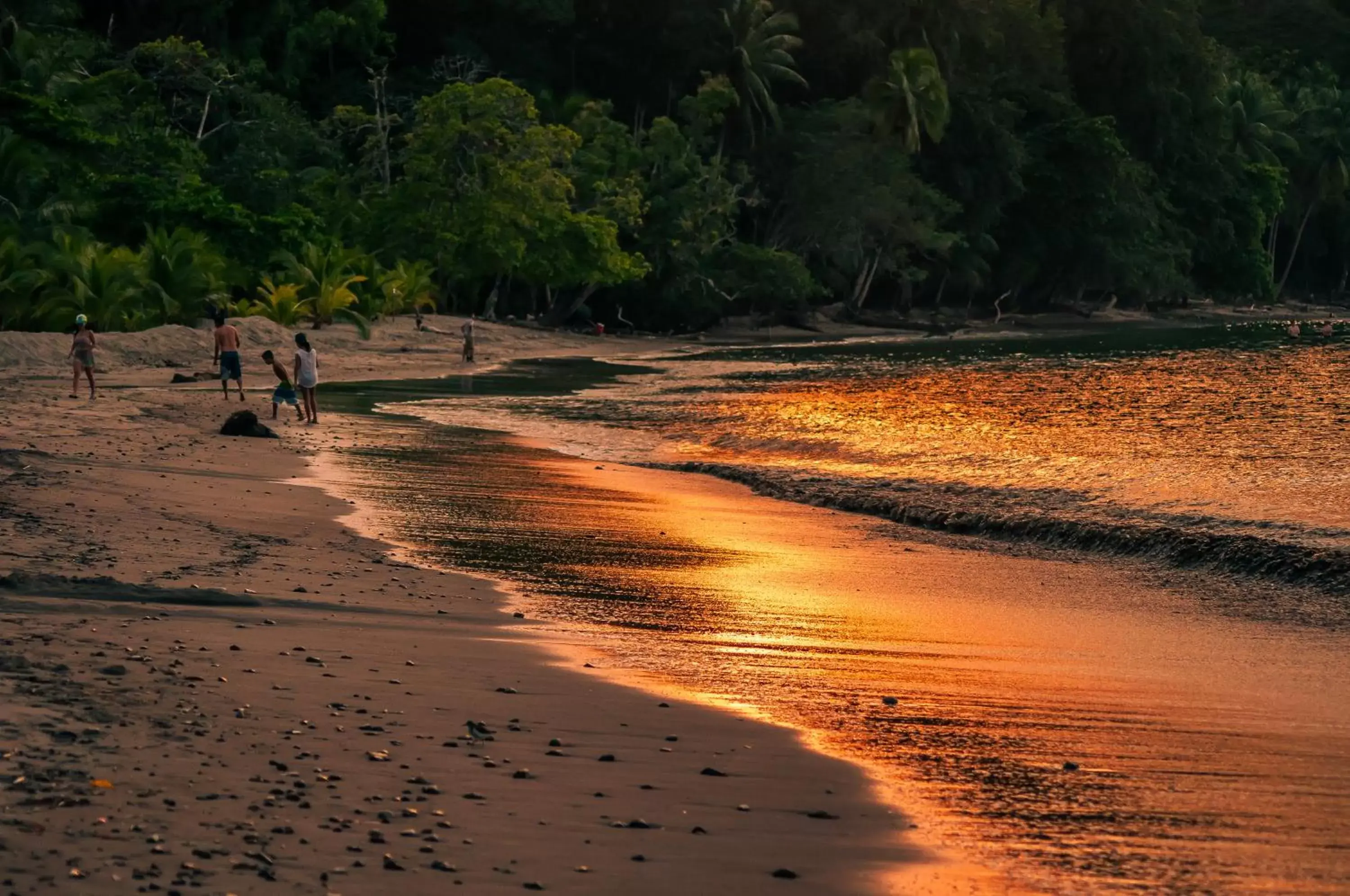 Beach in Hotel Punta Leona